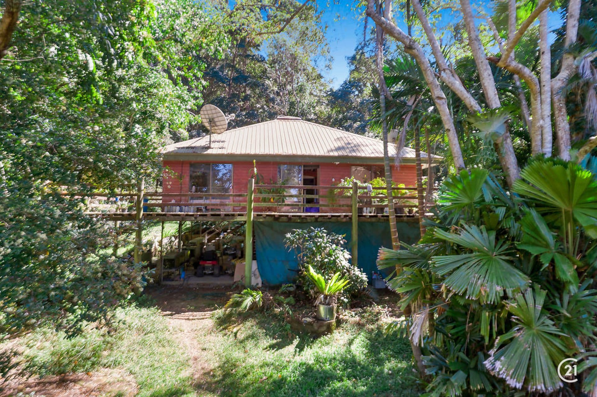 203 McCords Road, Yandina Creek, QLD, 4561, Yandina Creek - Thumbnail 3