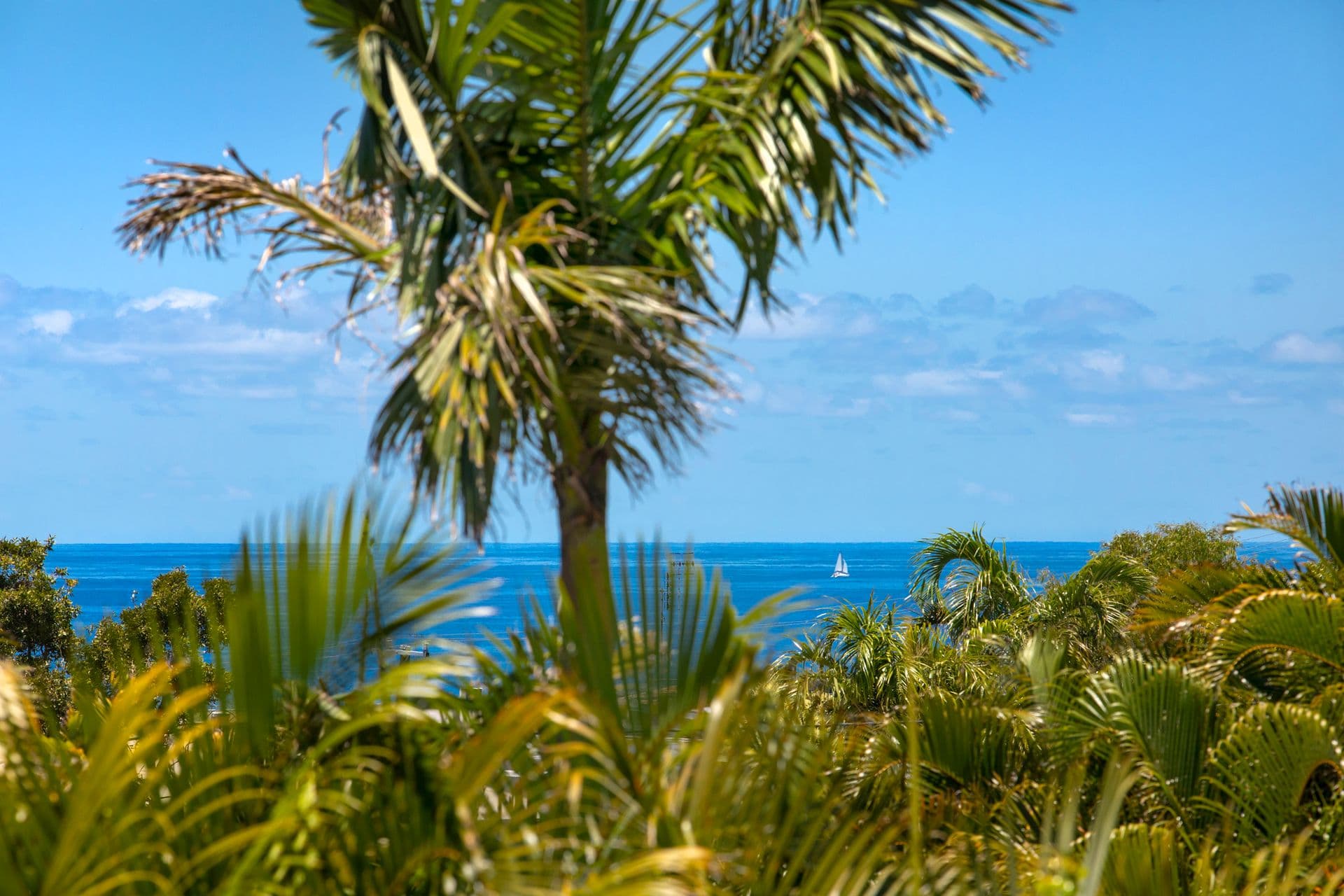 6/18 Lanyana Way, Noosa Heads, QLD, 4567, Sunrise Beach - Thumbnail 3