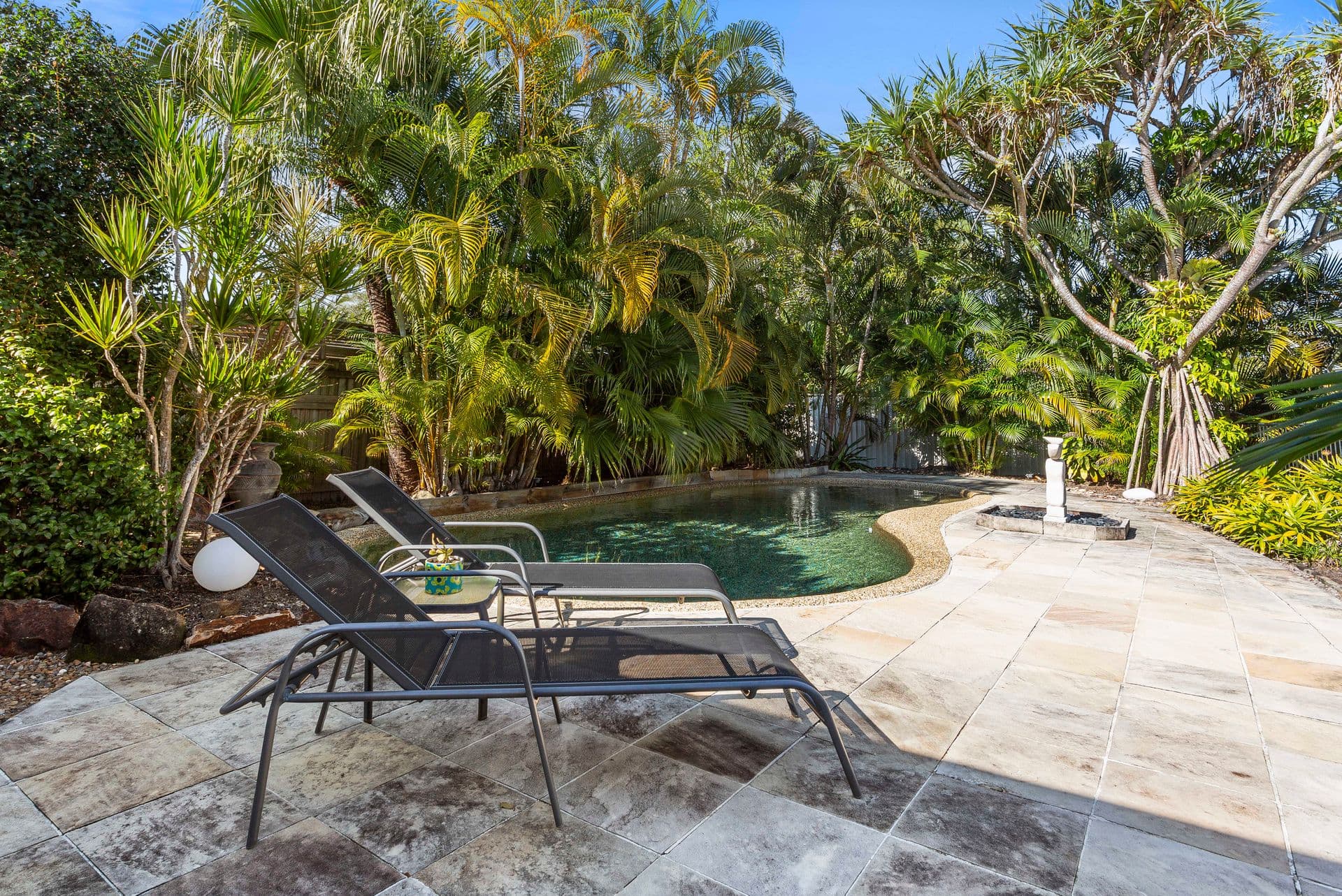 31 Heron Court, Tewantin, QLD, 4565, Tewantin - Thumbnail 2