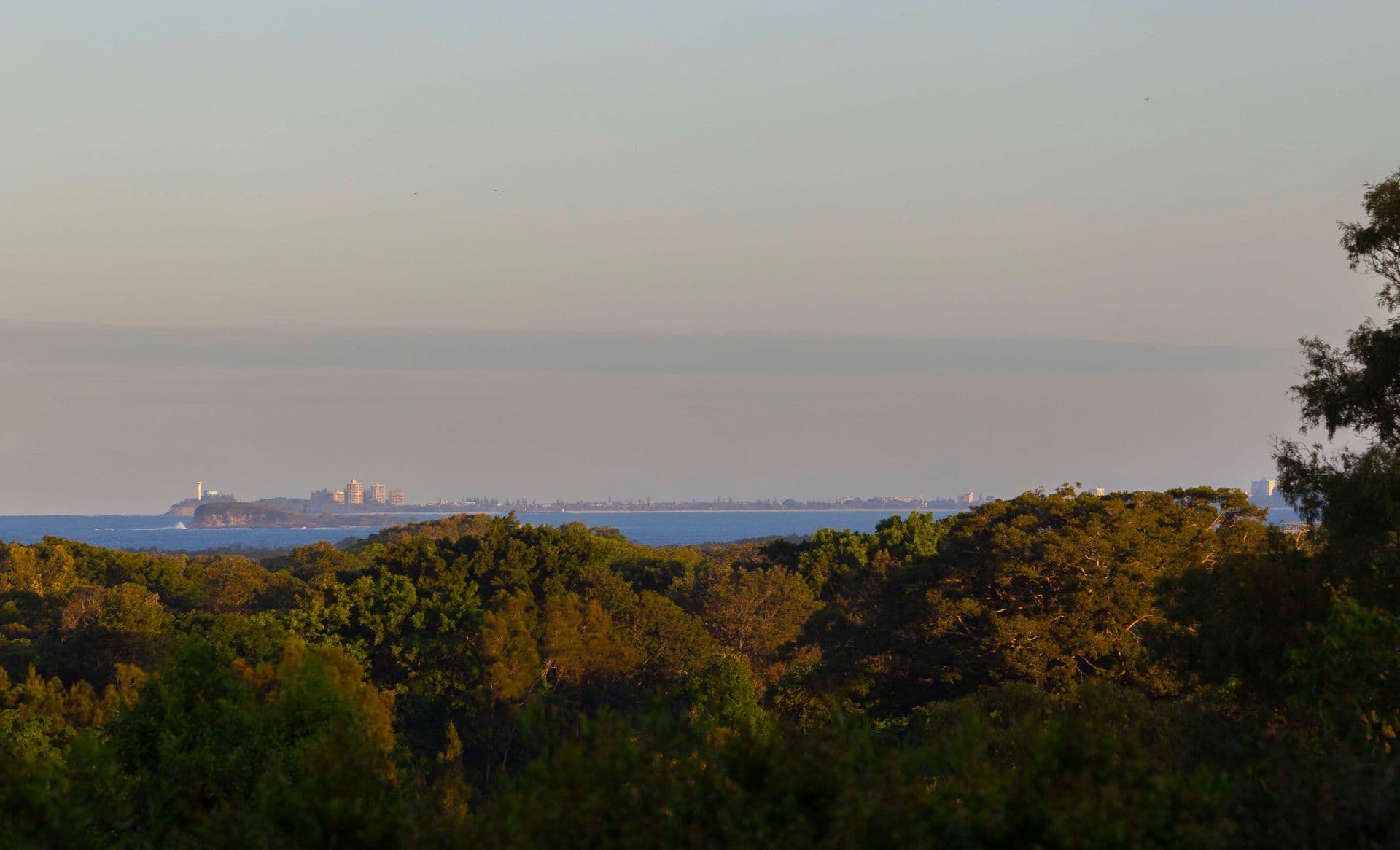 6/18 Lanyana Way, Noosa Heads, QLD, 4567, Yaroomba - Thumbnail 5