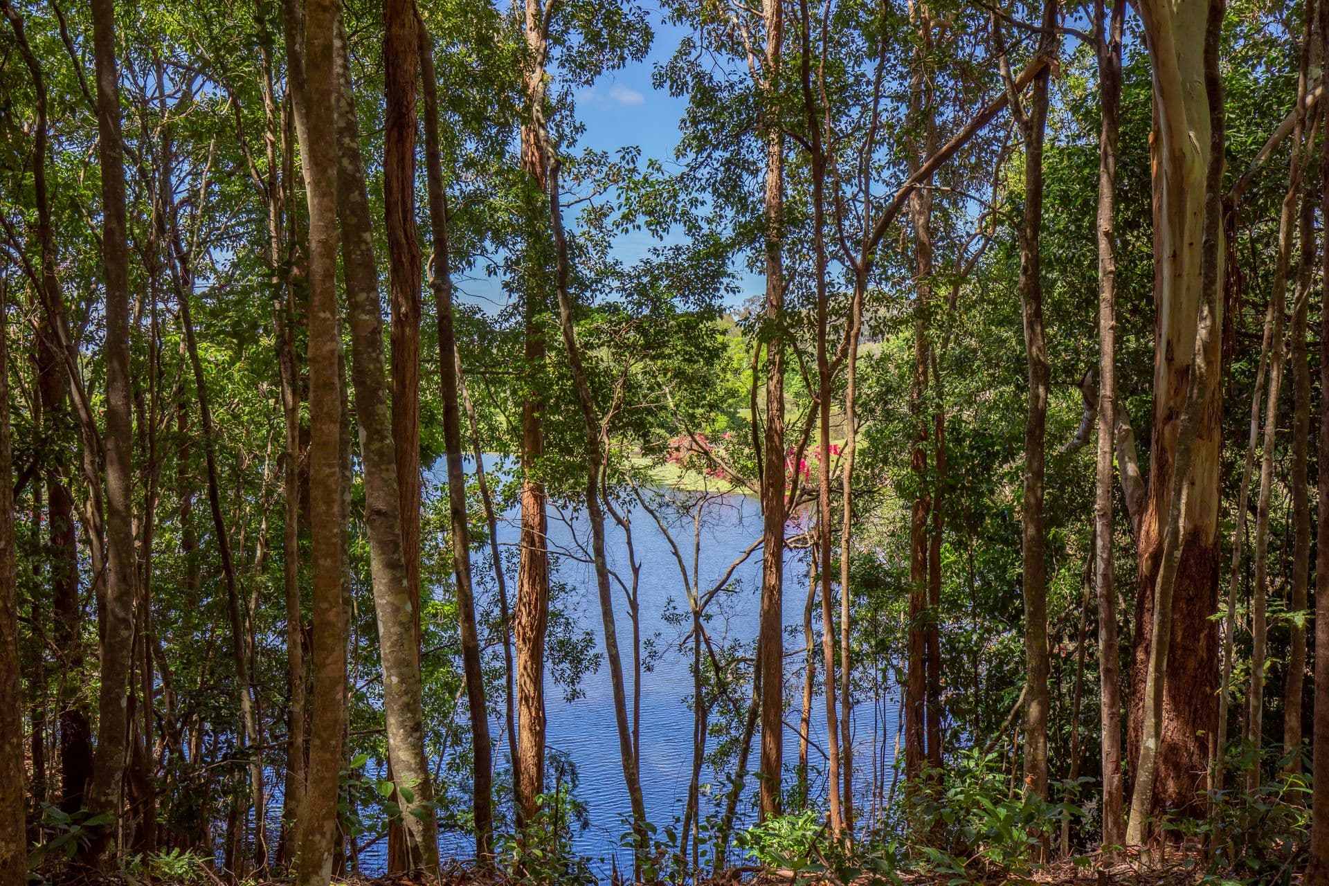 60 Valley Drive, Doonan, QLD, 4562, Doonan - Thumbnail 2