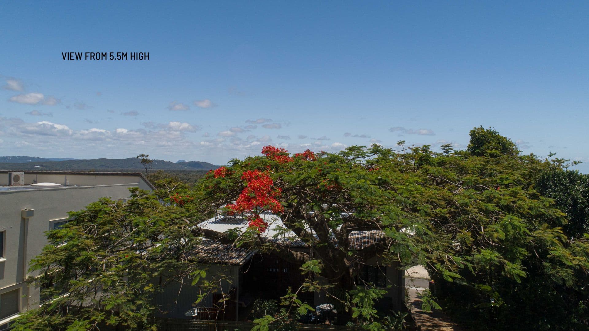 15 Greenoaks Drive, Coolum Beach, QLD, 4573, Coolum Beach - Thumbnail 5