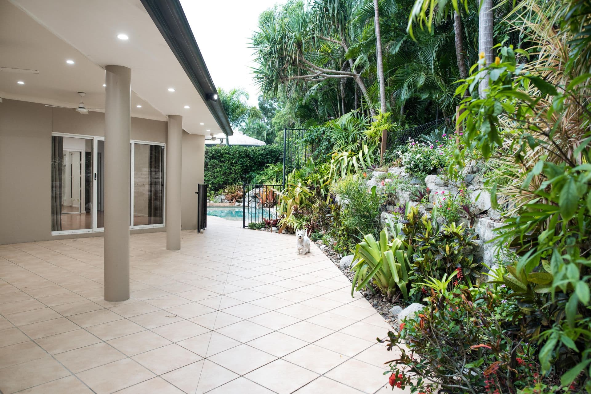 25 David Street, Noosa Heads, QLD, 4567, Noosa Heads - Thumbnail 6