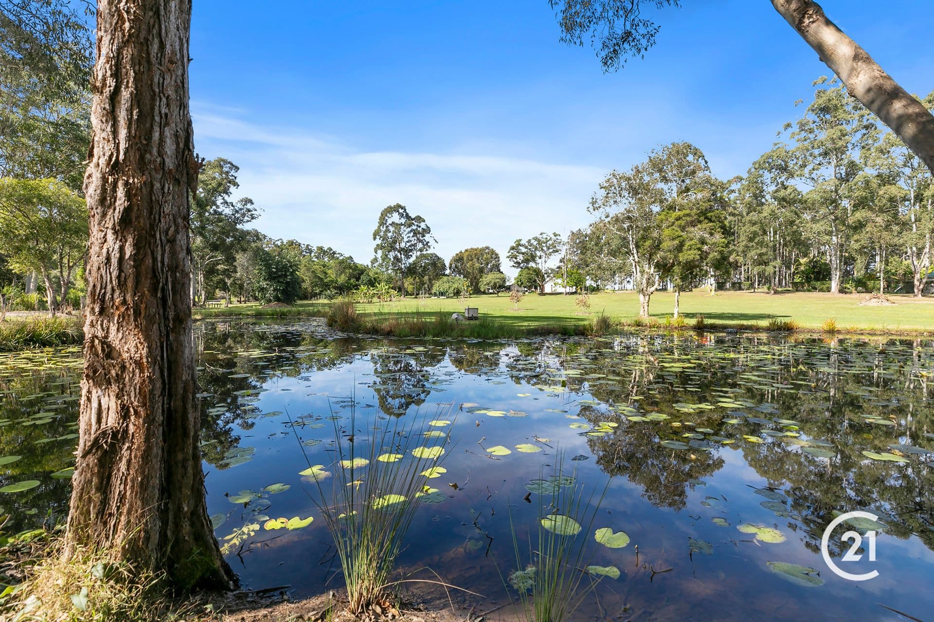 6/18 Lanyana Way, Noosa Heads, QLD, 4567, Eumundi - Thumbnail 7