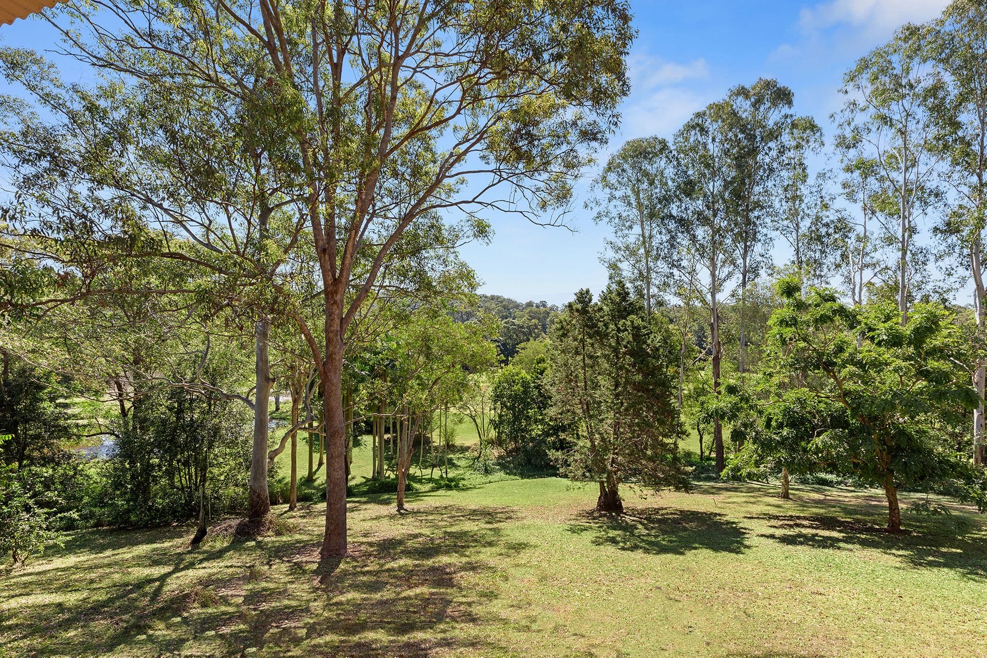 6/18 Lanyana Way, Noosa Heads, QLD, 4567, Doonan - Thumbnail 3