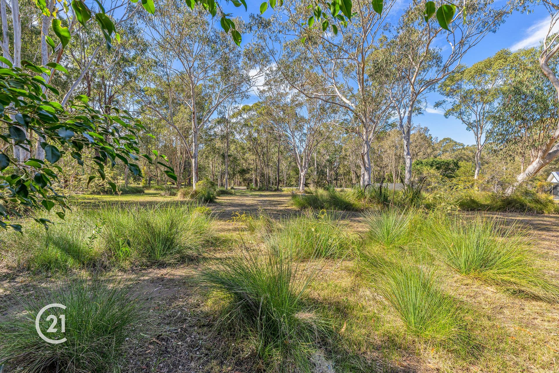 6/18 Lanyana Way, Noosa Heads, QLD, 4567, Doonan - Thumbnail 5