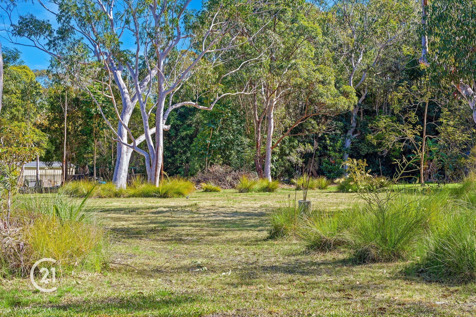 6/18 Lanyana Way, Noosa Heads, QLD, 4567, Doonan - Thumbnail 2