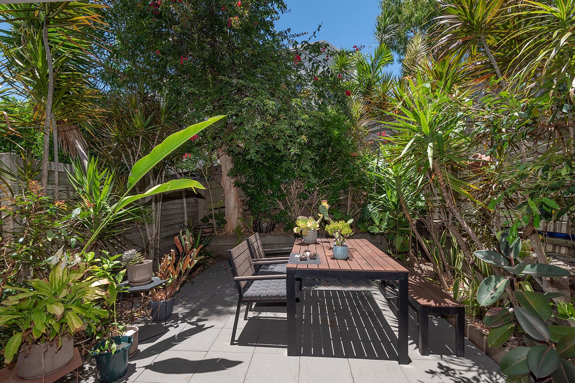 2/19 Henderson Street, Sunshine Beach, QLD, 4567, Sunshine Beach - Thumbnail 3