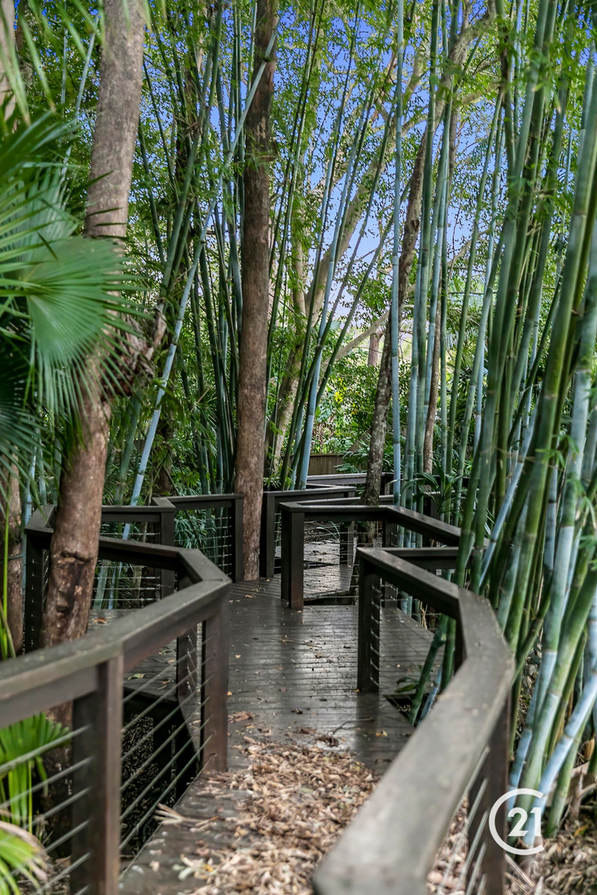 6/18 Lanyana Way, Noosa Heads, QLD, 4567, Doonan - Thumbnail 3