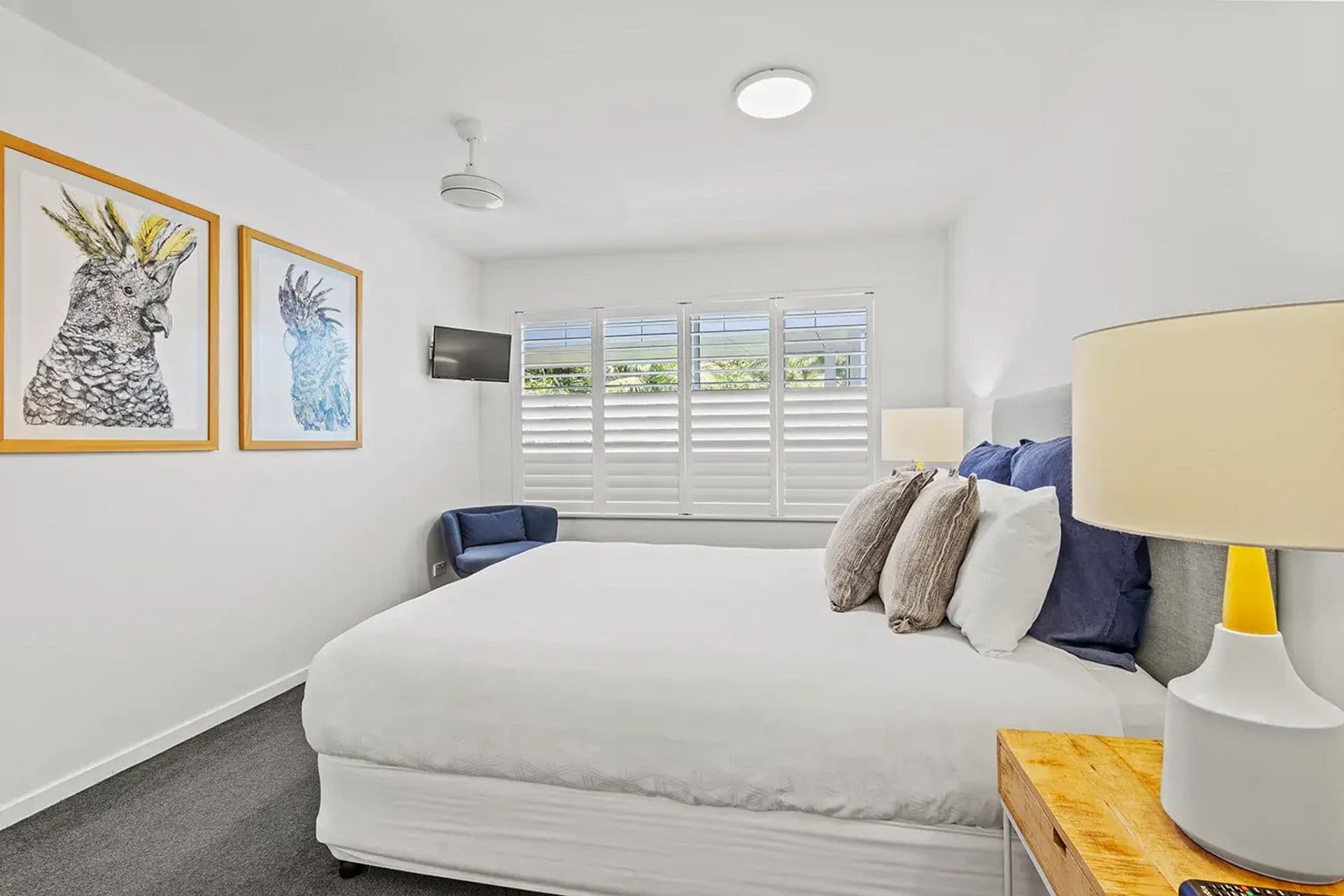 17/43 Duke Street, Sunshine Beach, QLD, 4567, Sunshine Beach - Thumbnail 6