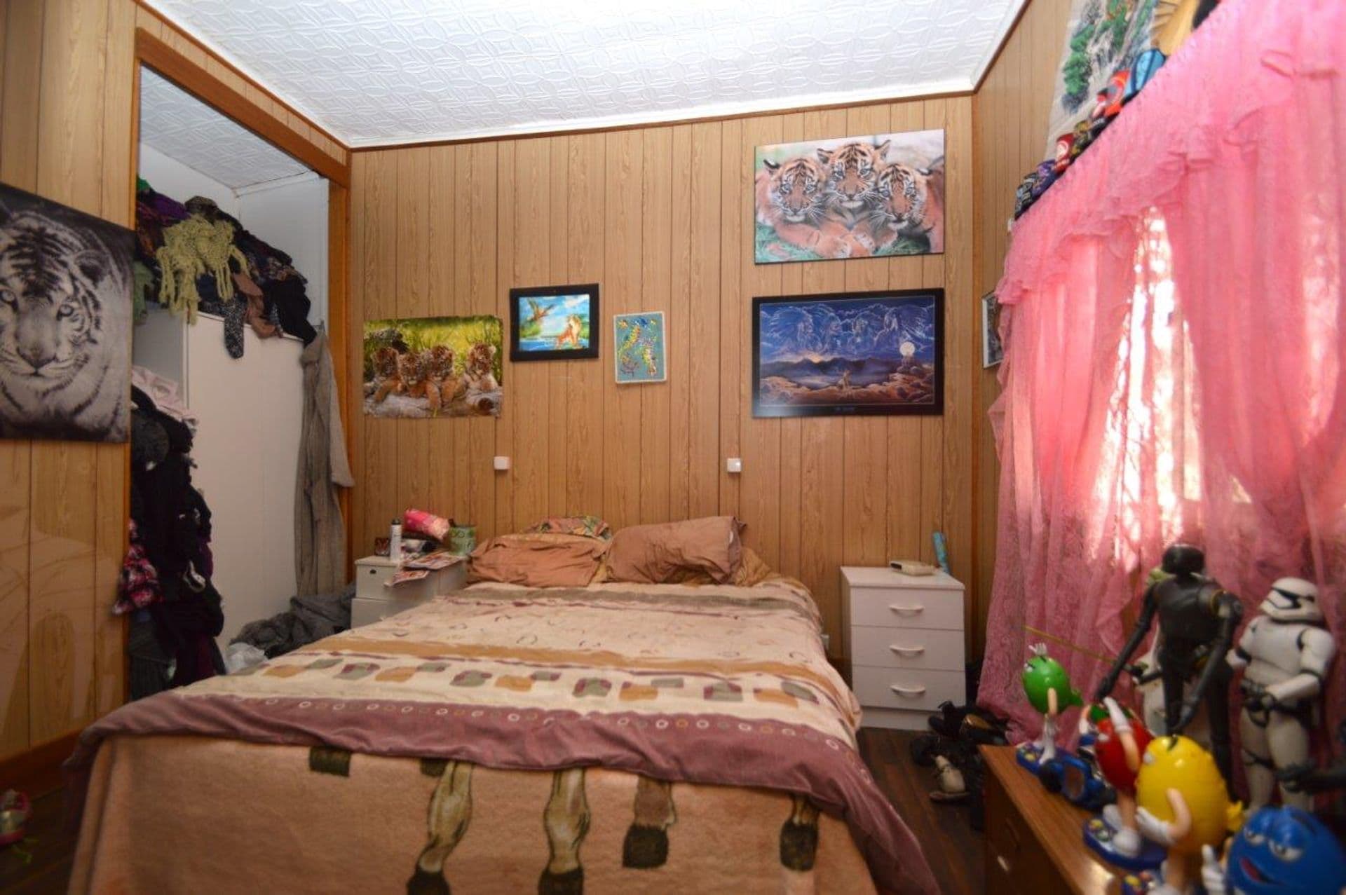 485 Blende Street, Broken Hill, NSW, 2880, Broken Hill - Thumbnail 5