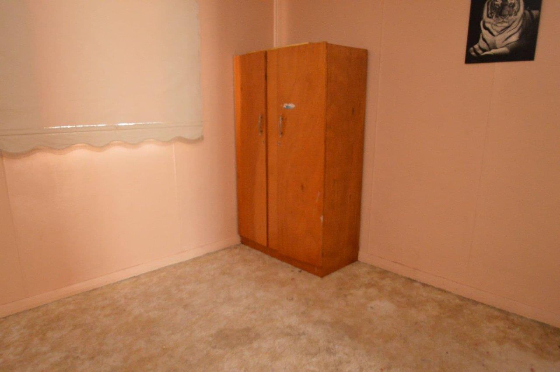 344 Wolfram Street, Broken Hill, NSW, 2880, Broken Hill - Thumbnail 5