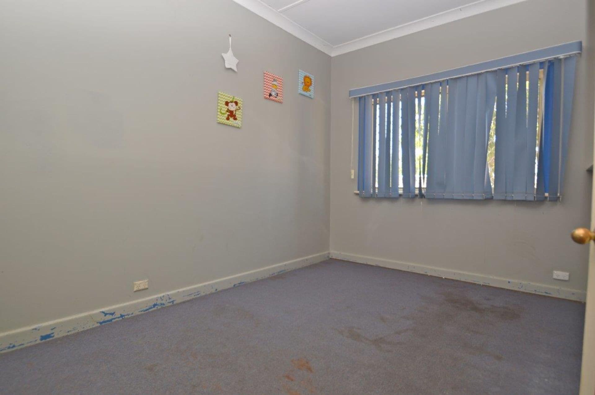 174 Hebbard Street, Broken Hill, NSW, 2880, Broken Hill - Thumbnail 4