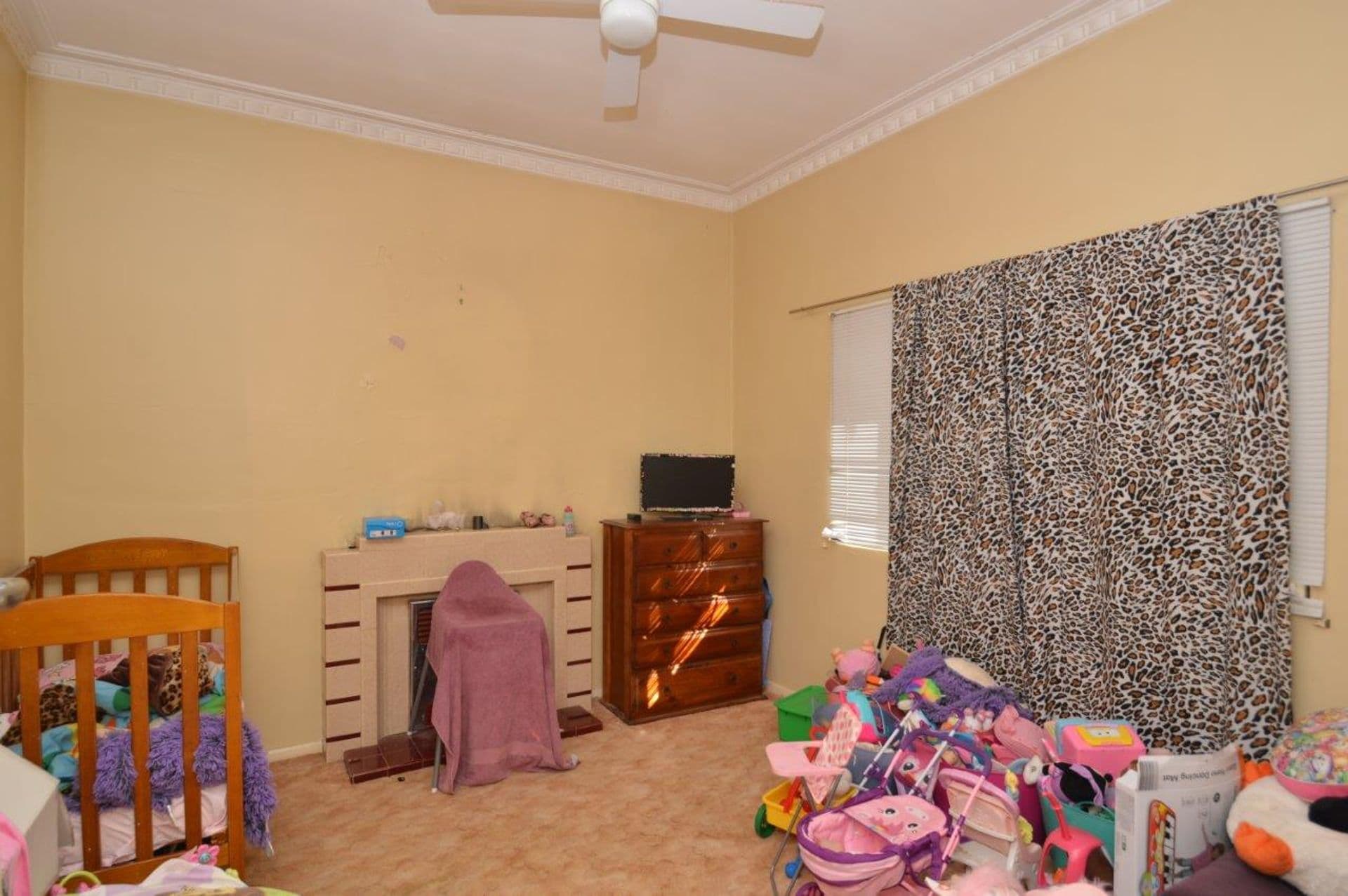 121 Wills Lane, Broken Hill, NSW, 2880, Broken Hill - Thumbnail 7