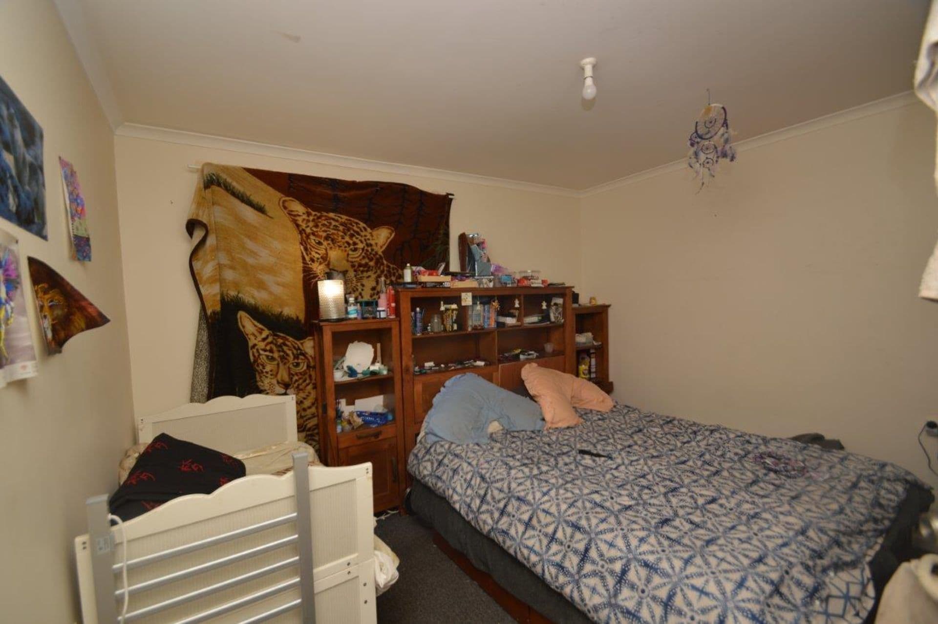 339 Duff Street, Broken Hill, NSW, 2880, Broken Hill - Thumbnail 6