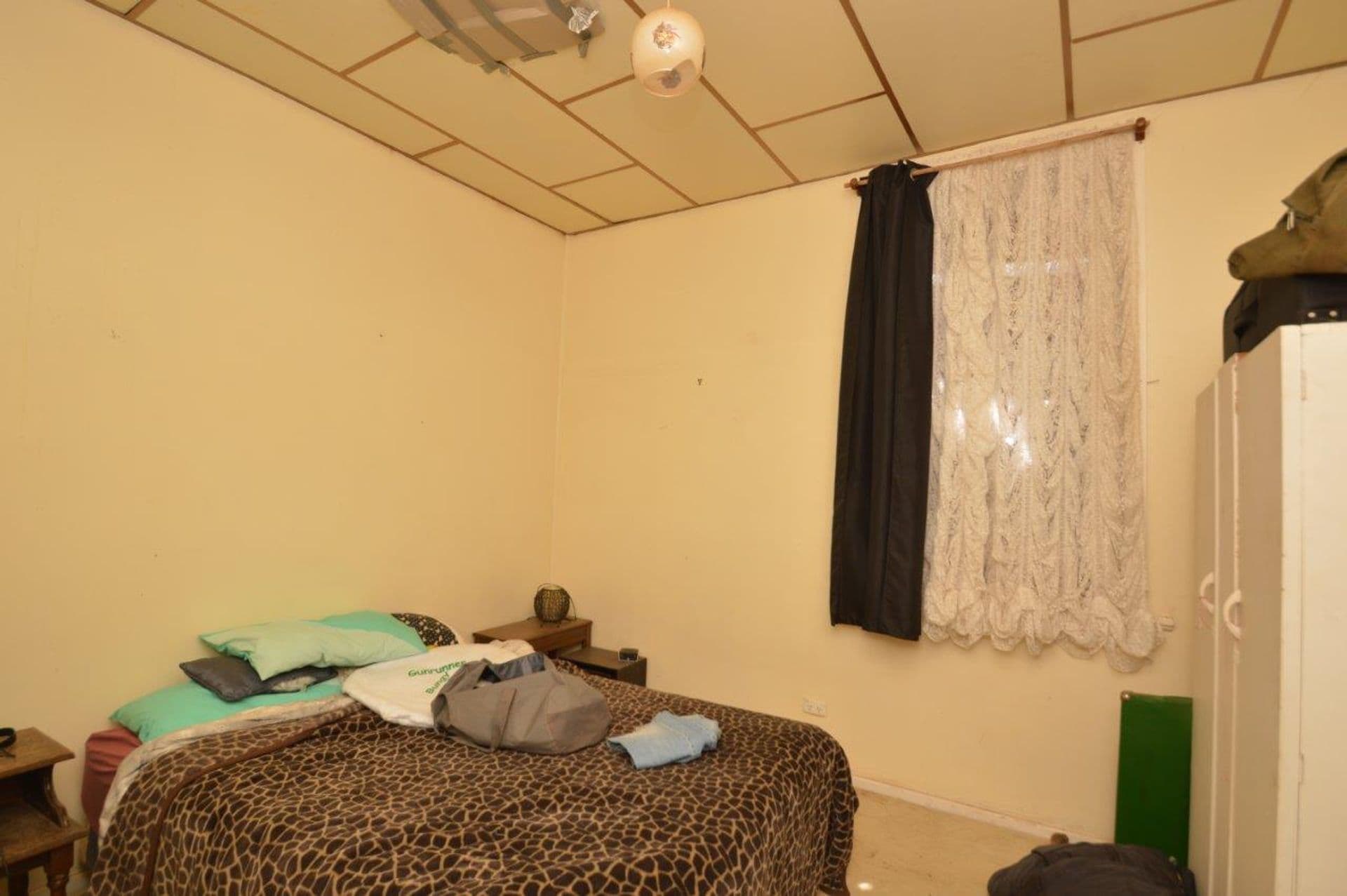 102 Piper Street, Broken Hill, NSW, 2880, Broken Hill - Thumbnail 6