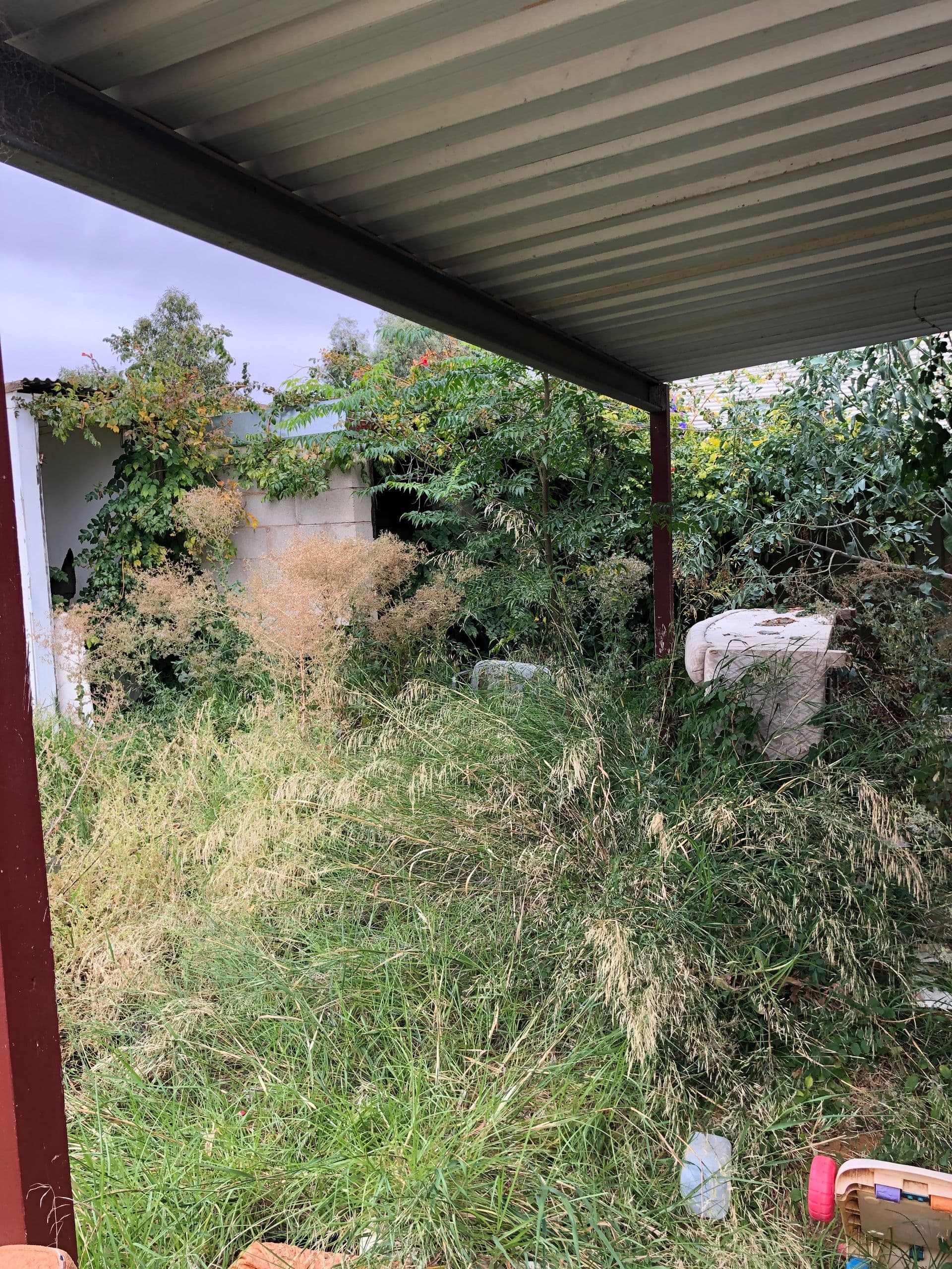169 Chapple Lane, Broken Hill, NSW, 2880, Broken Hill - Thumbnail 6