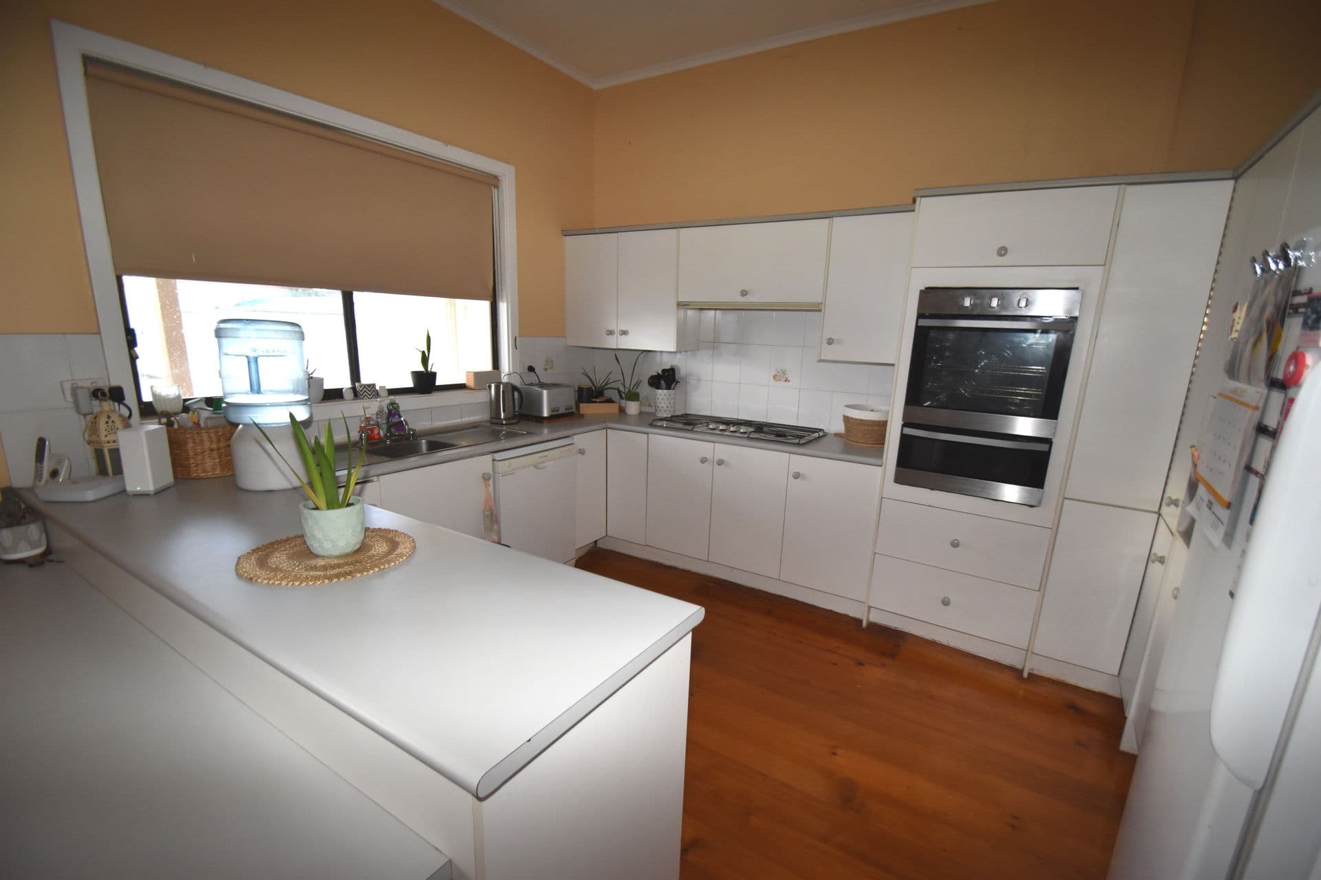 254 Chapple Street, Broken Hill, NSW, 2880, Broken Hill - Thumbnail 3