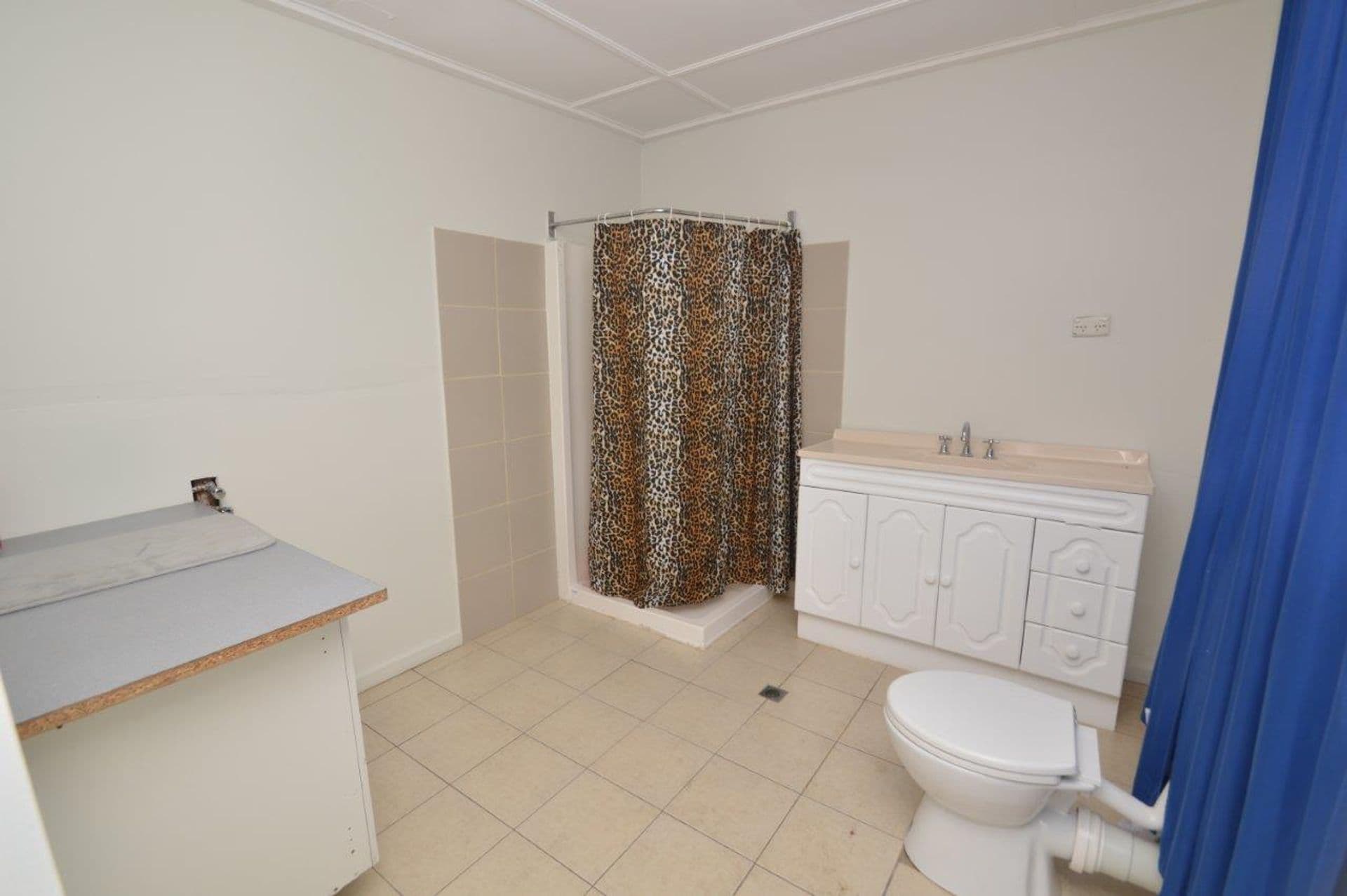 329 Lane Street, Broken Hill, NSW, 2880, Broken Hill - Thumbnail 8