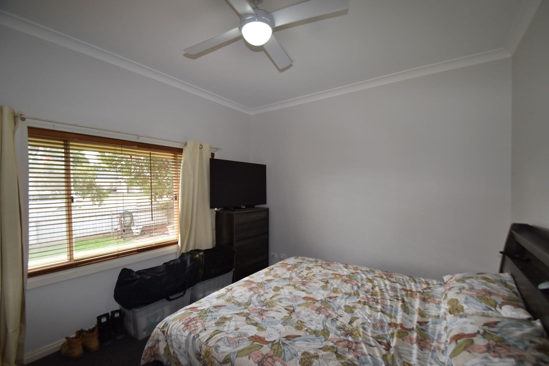 239 Jamieson Street, Broken Hill, NSW, 2880, Broken Hill - Thumbnail 4