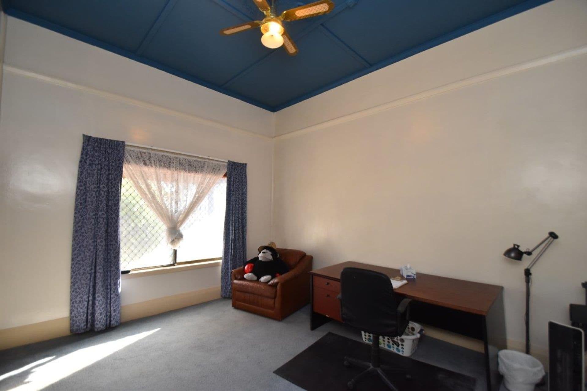 569 Chapple Lane, Broken Hill, NSW, 2880, Broken Hill - Thumbnail 4
