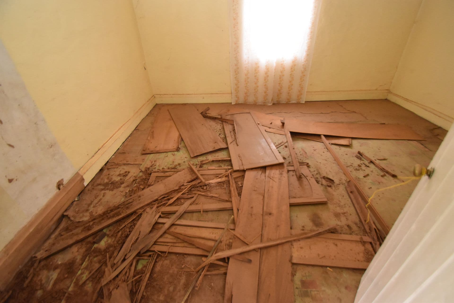 493 Chapple Street, Broken Hill, NSW, 2880, Broken Hill - Thumbnail 3