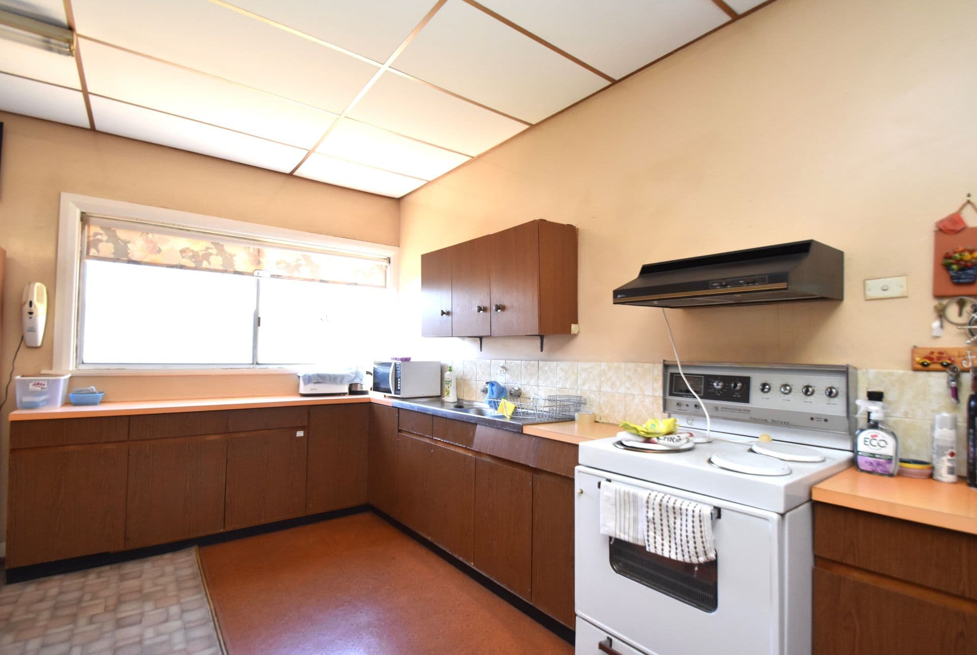 33 Ryan Street, Broken Hill, NSW, 2880, Broken Hill - Thumbnail 3