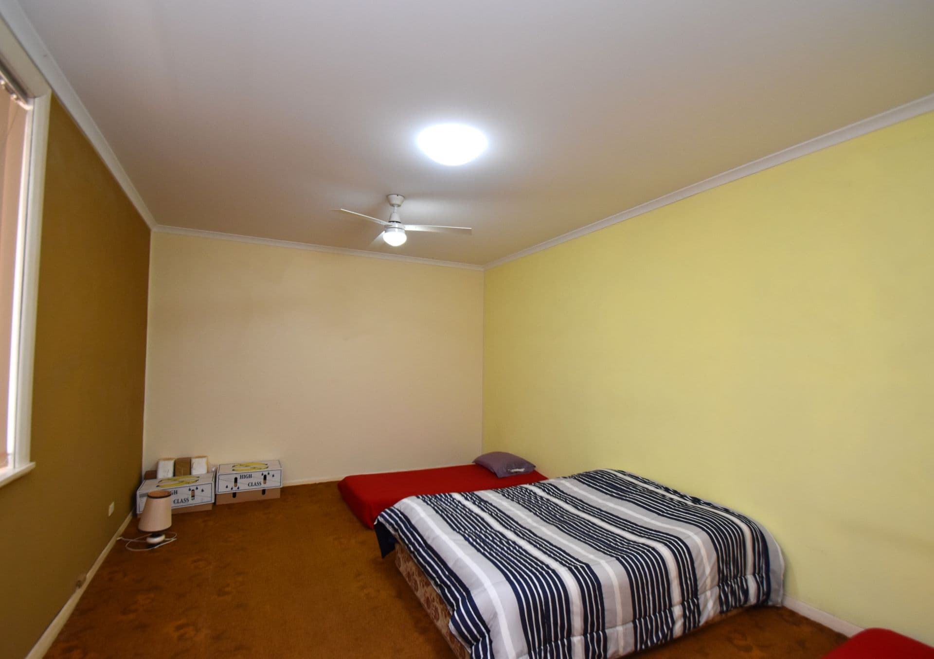 33 Ryan Street, Broken Hill, NSW, 2880, Broken Hill - Thumbnail 8