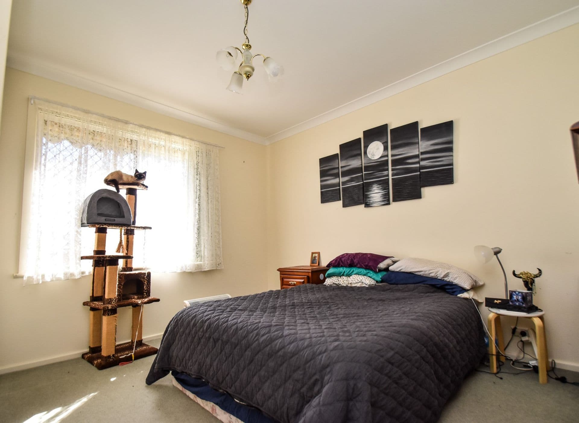 225 Wills Street, Broken Hill, NSW, 2880, Broken Hill - Thumbnail 8