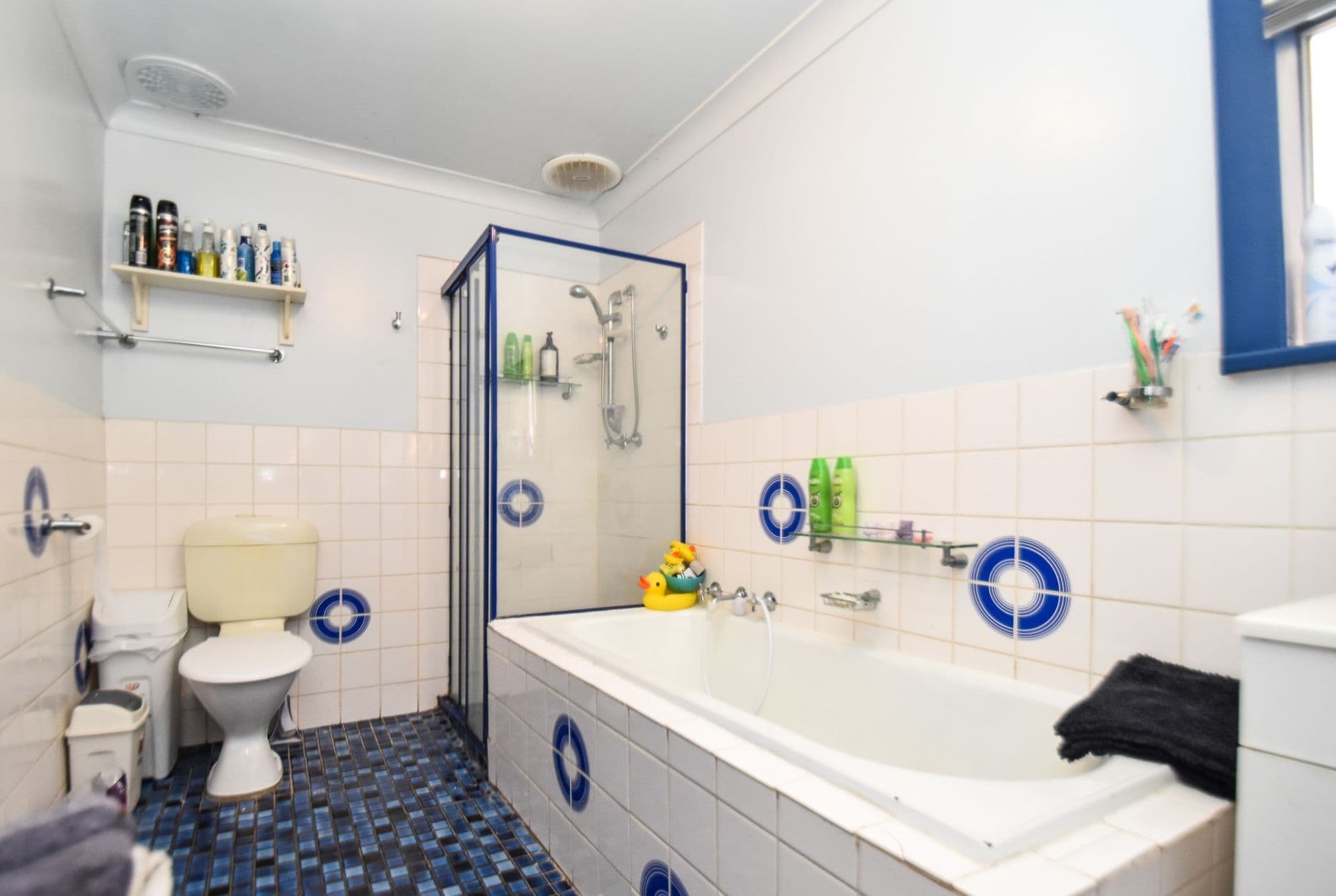 121 Ryan Street, Broken Hill, NSW, 2880, Broken Hill - Thumbnail 7