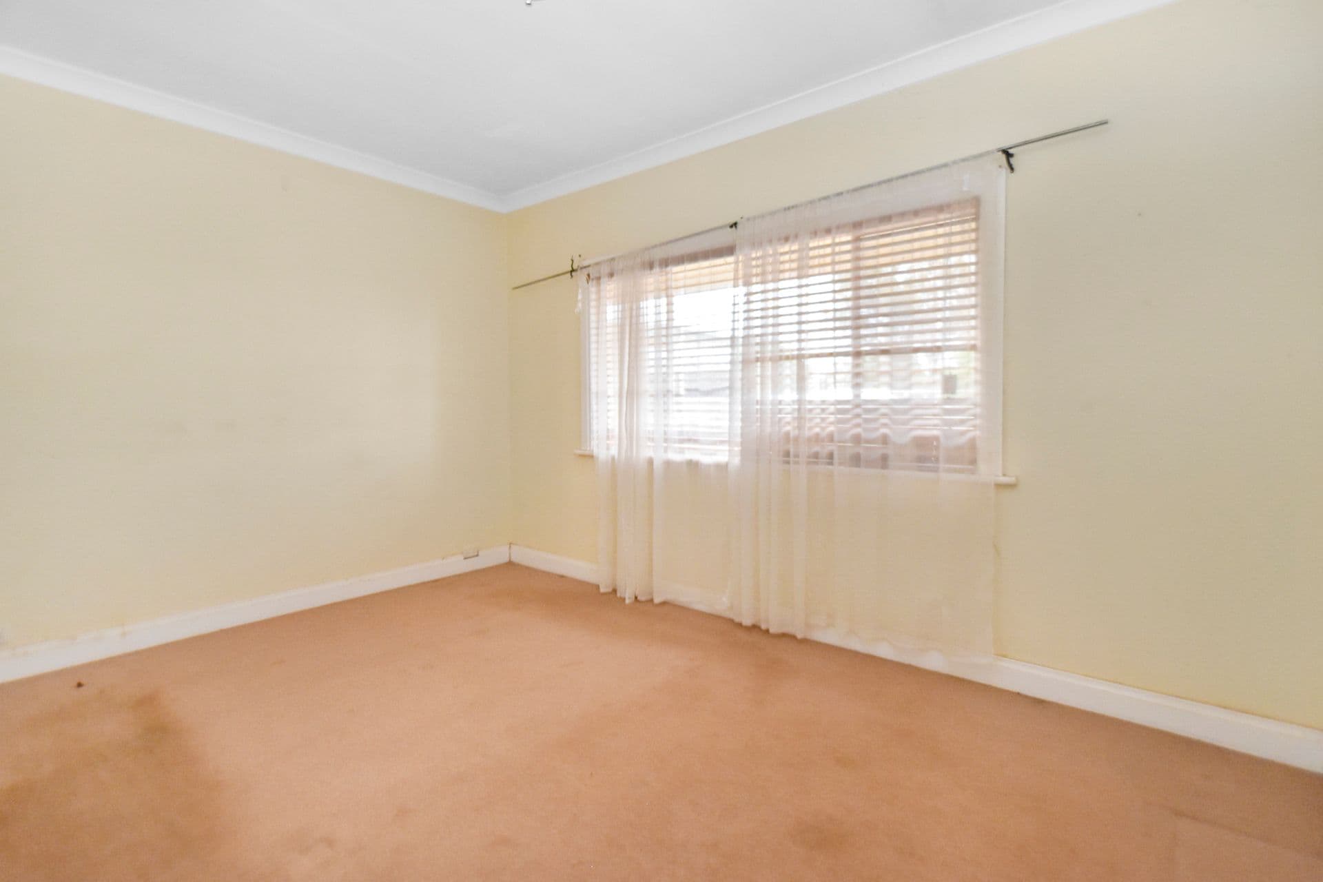 509 Wyman Lane, Broken Hill, NSW, 2880, Broken Hill - Thumbnail 6