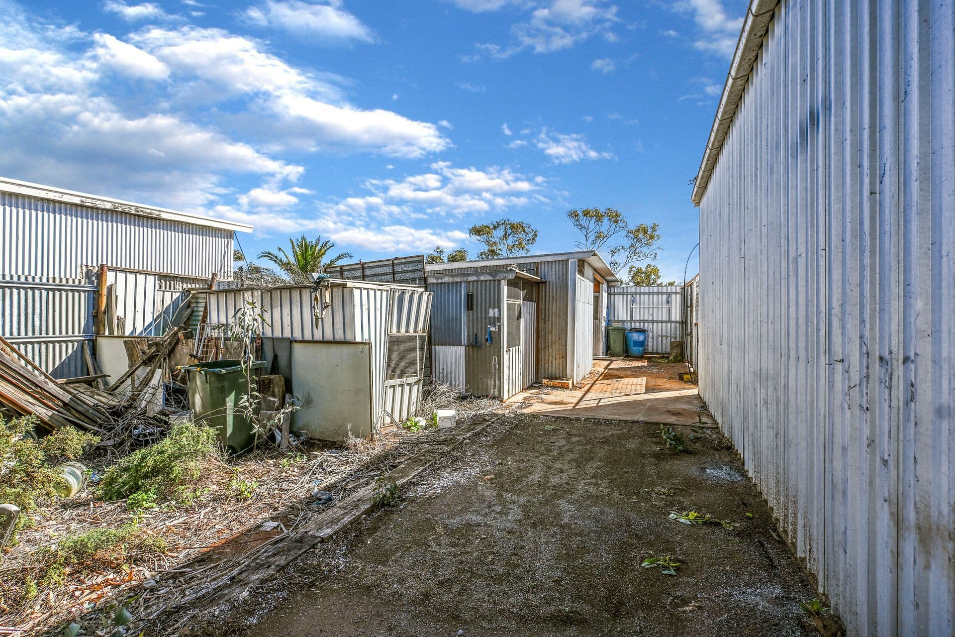 81 Ryan Street, Broken Hill, NSW, 2880, Broken Hill - Thumbnail 4