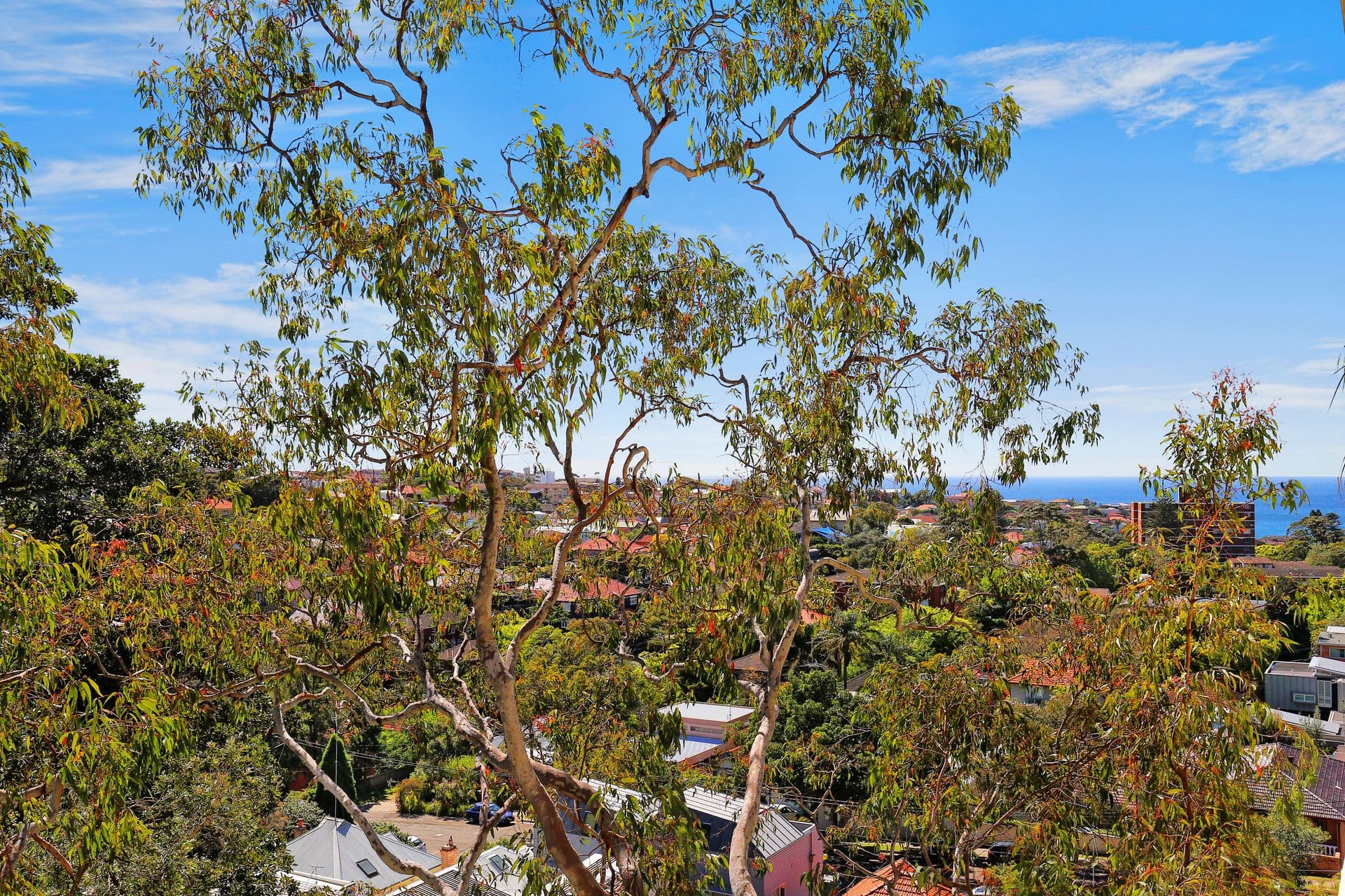 512/72 Henrietta Street, Waverley, NSW, 2024, Waverley - Thumbnail 5