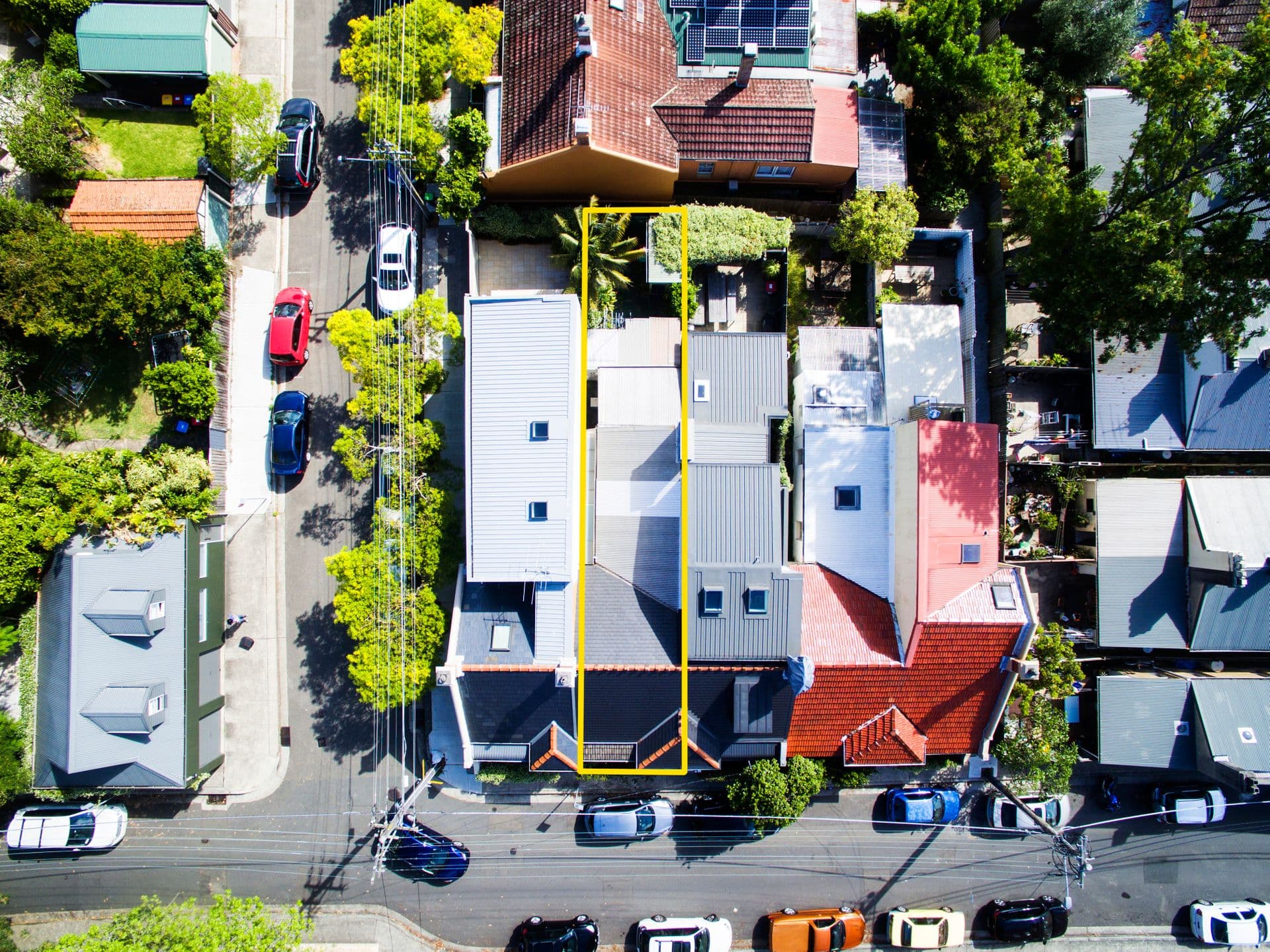 7 Paul Street, Bondi Junction, NSW, 2022, Bondi Junction - Thumbnail 8