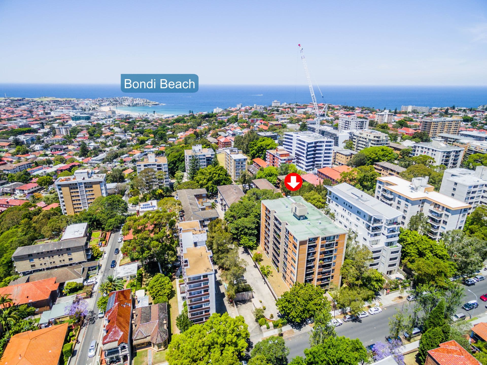 30/22-28 Penkivil Street, Bondi, NSW, 2026, Bondi - Thumbnail 7