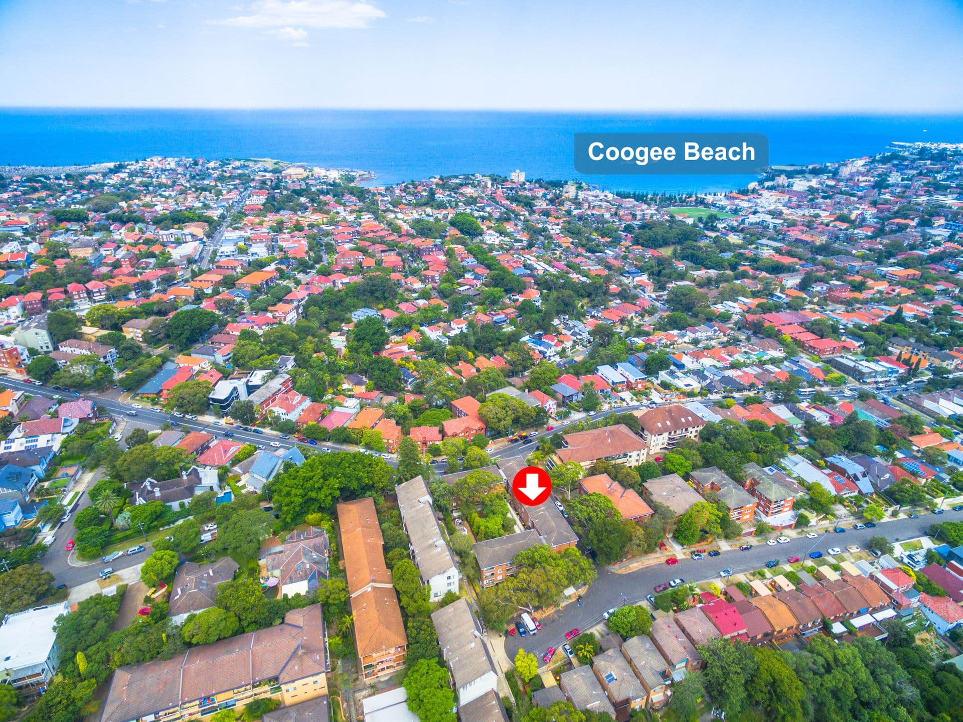15/124  Carrington Road, Randwick, NSW, 2031, Randwick - Thumbnail 7