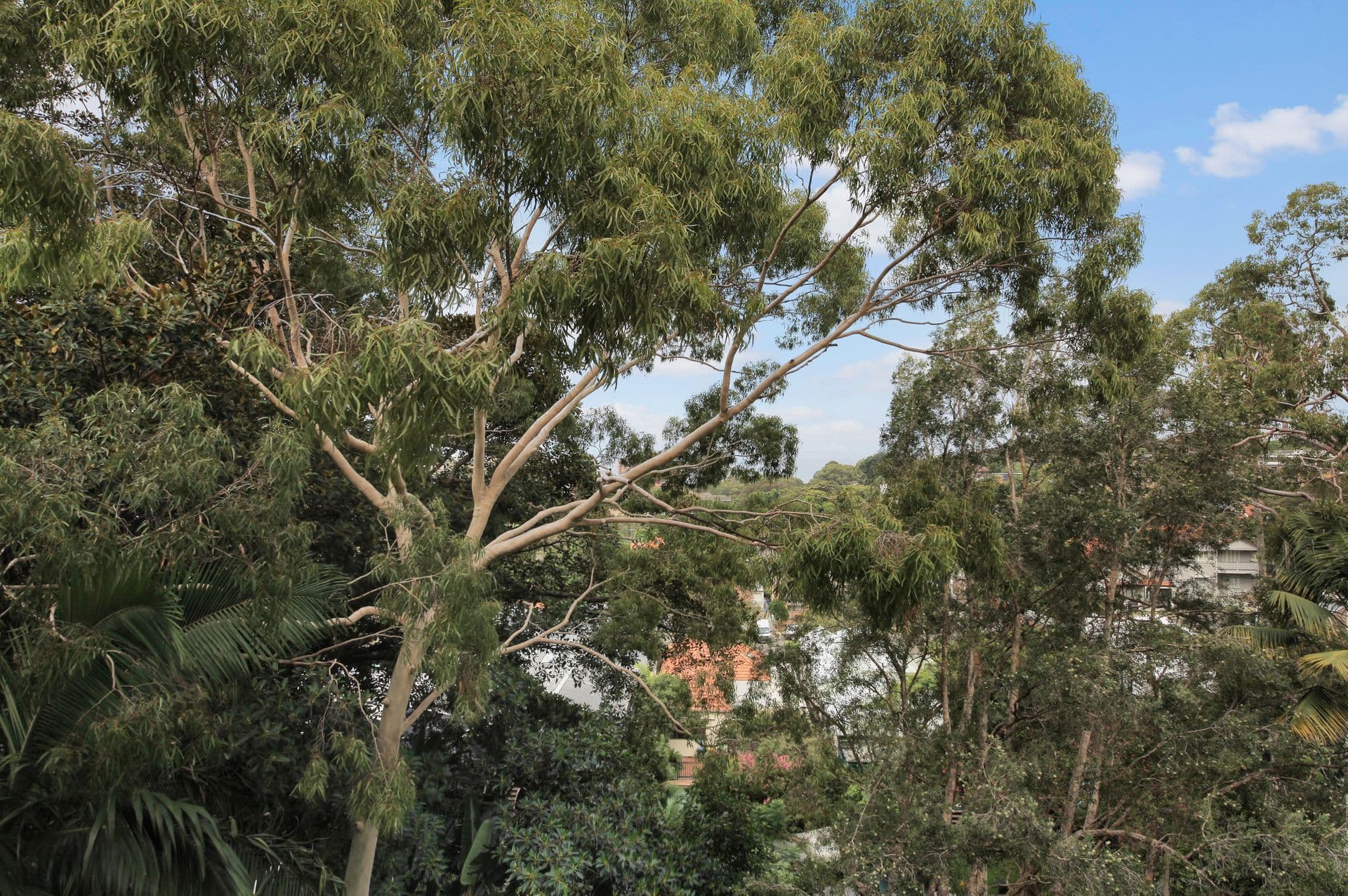 405/72  Henrietta Street, Waverley, NSW, 2024, Waverley - Thumbnail 5