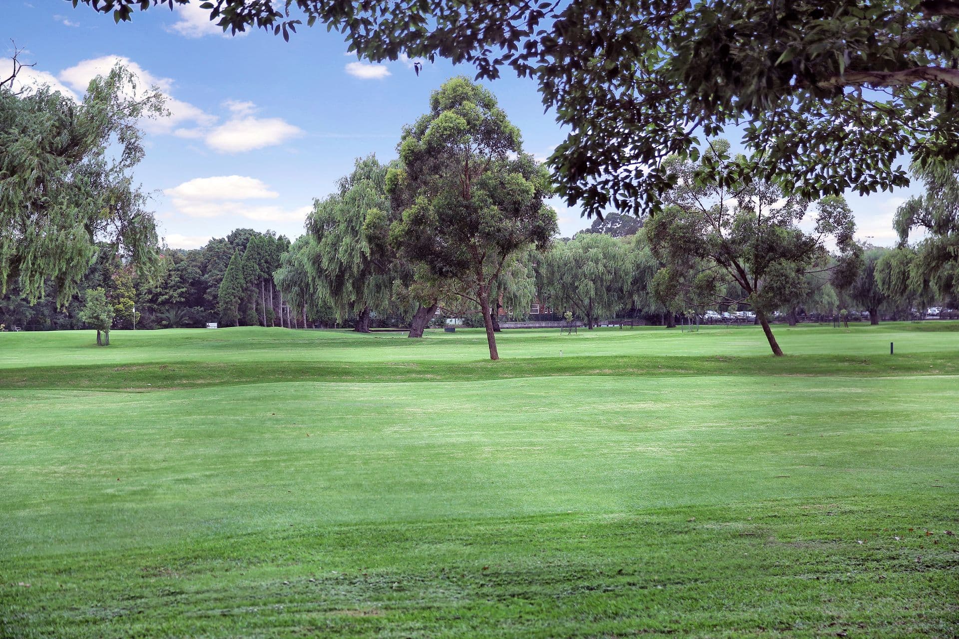 1/85 O'Sullivan Road, Rose Bay, NSW, 2029, Rose Bay - Thumbnail 6