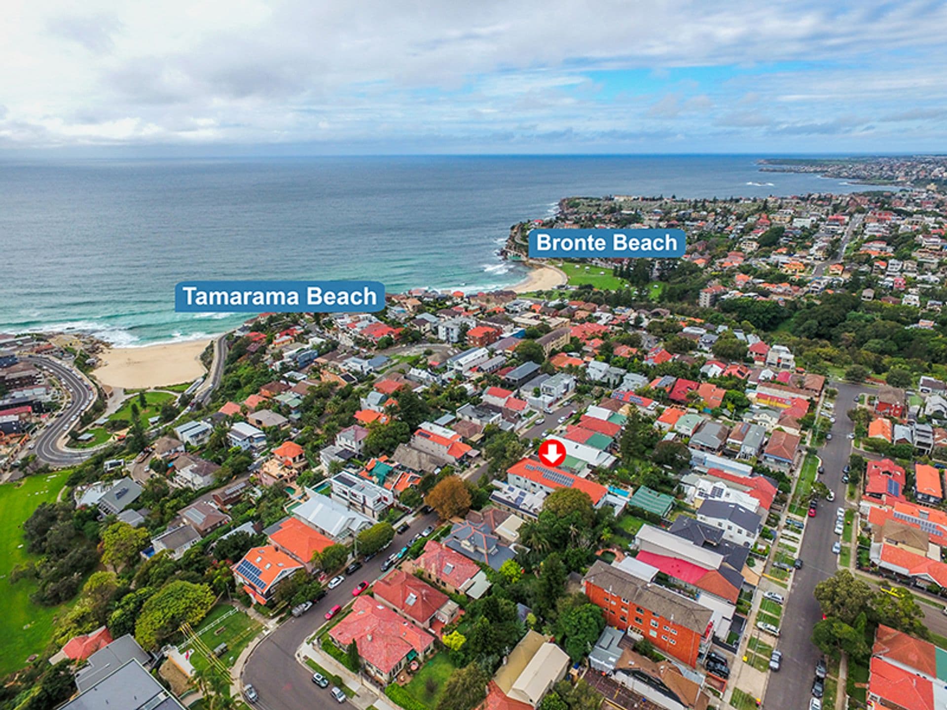 3/13  Cross Street, Bronte, NSW, 2024, Bronte - Thumbnail 6