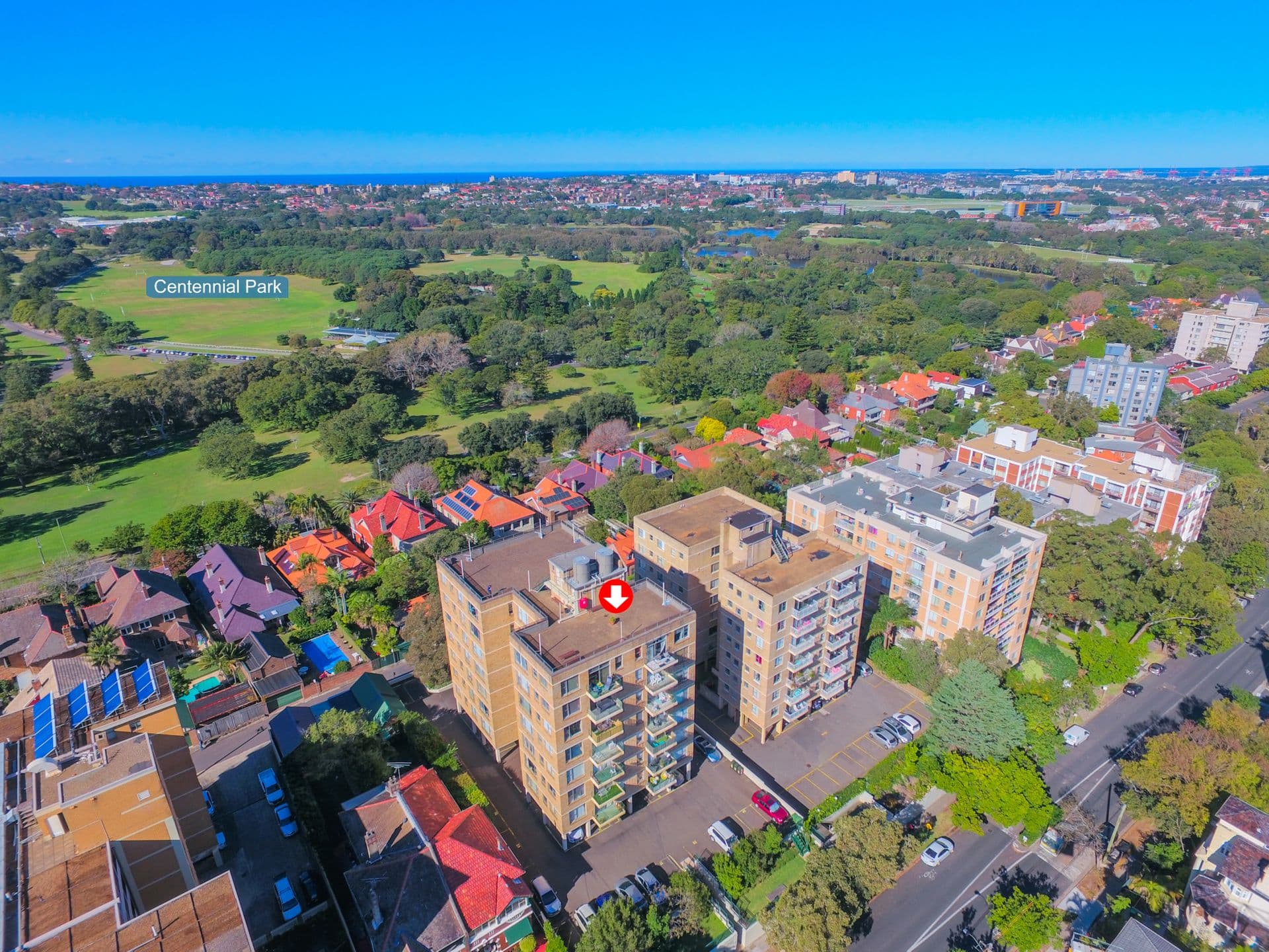 17/49-51 Cook Road, Centennial Park, NSW, 2021, Daisy Hill - Thumbnail 8