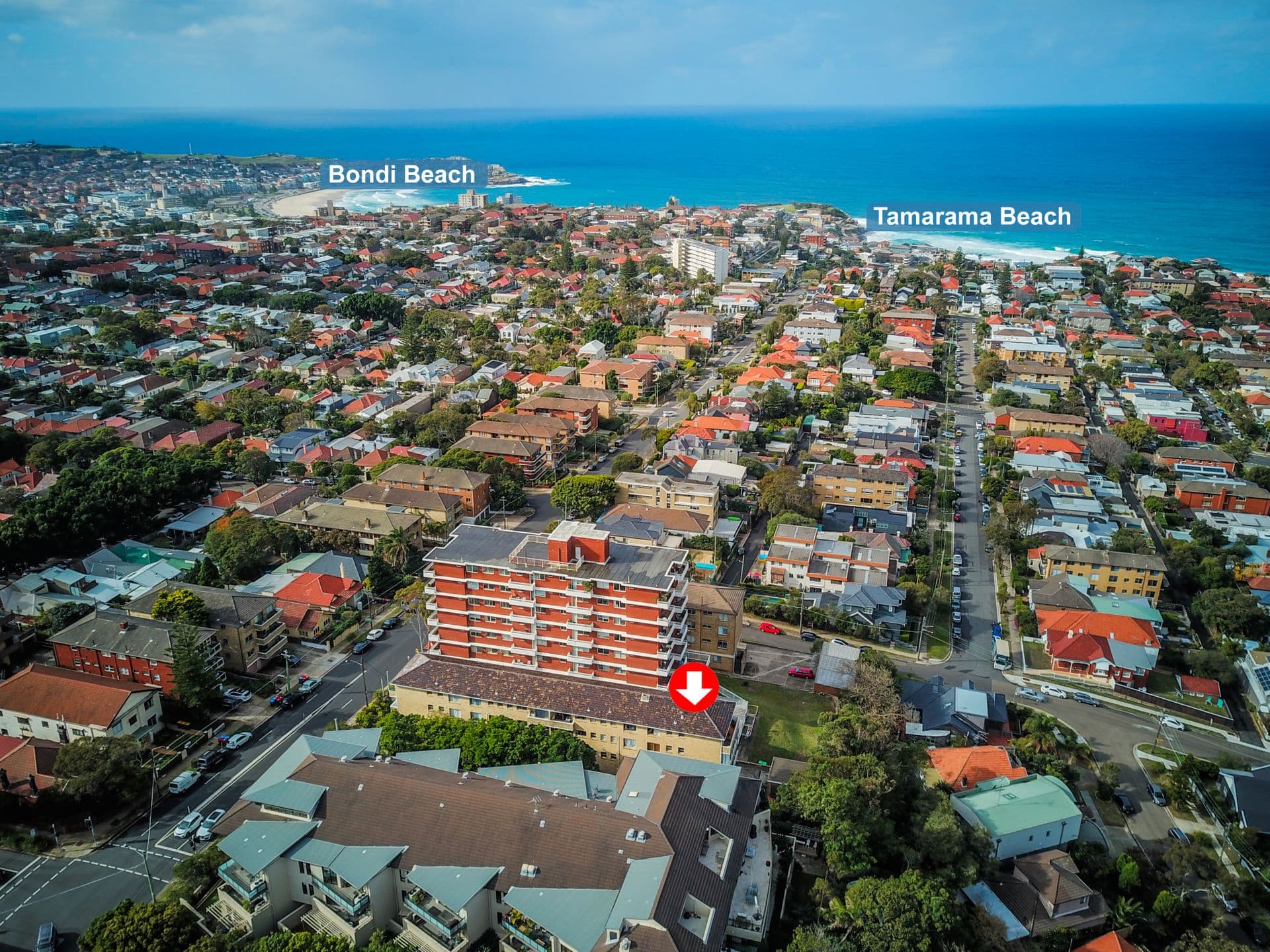 12/203 Birrell Street, Waverley, NSW, 2024, Waverley - Thumbnail 7