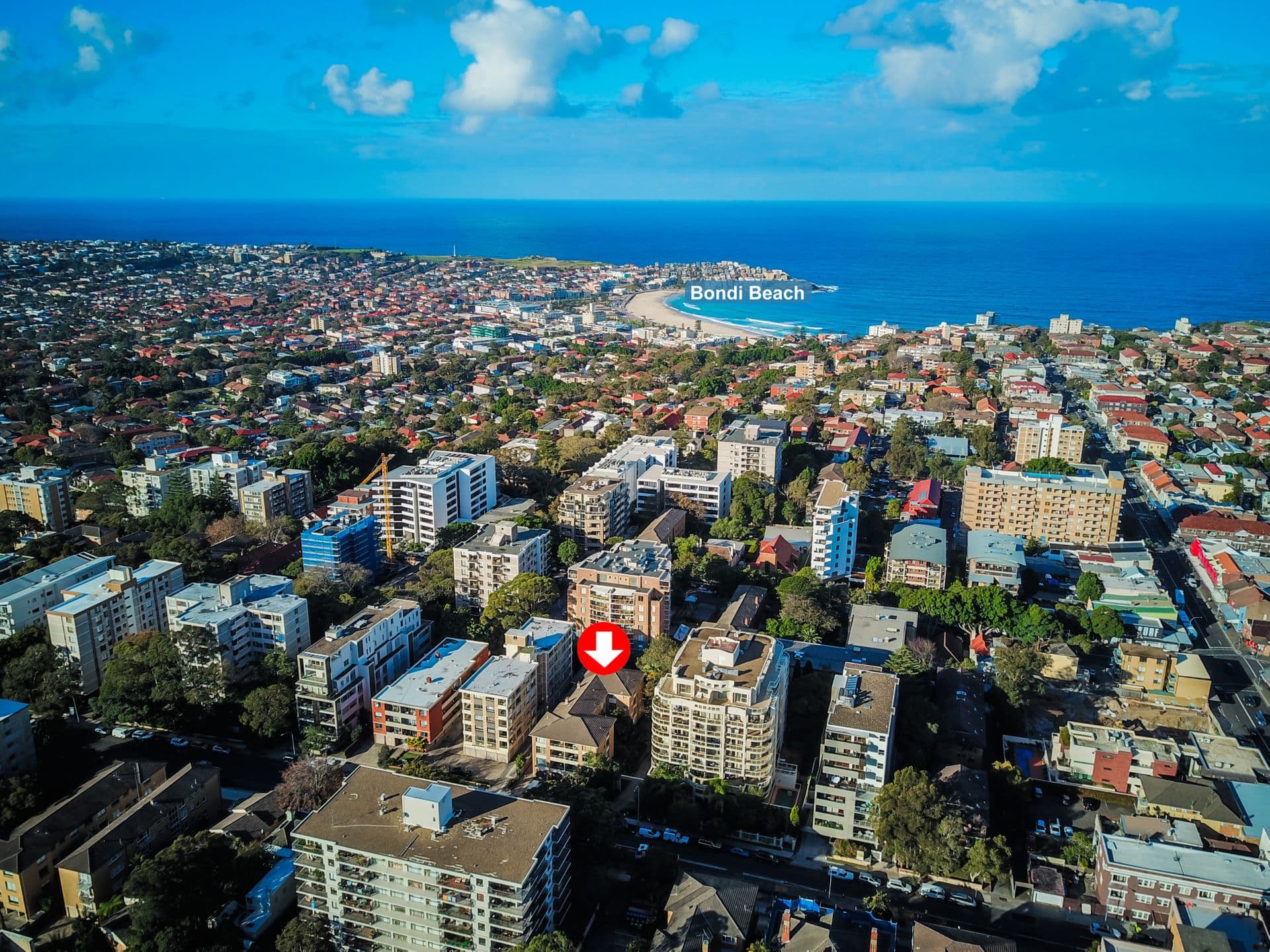 13/56 Penkivil Street, Bondi, NSW, 2026, Bondi - Thumbnail 5