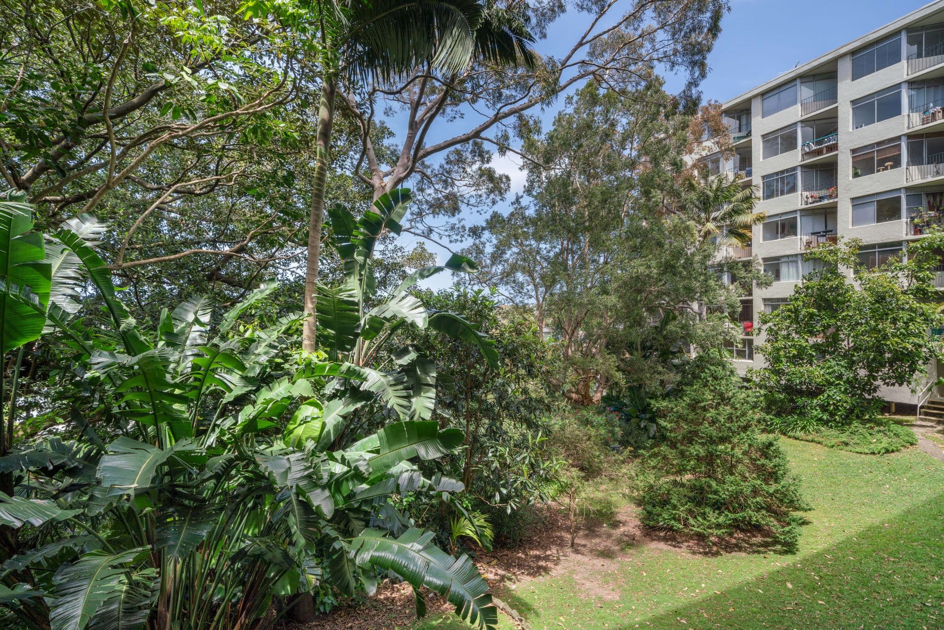 103/72 Henrietta Street, Waverley, NSW, 2024, Waverley - Thumbnail 8