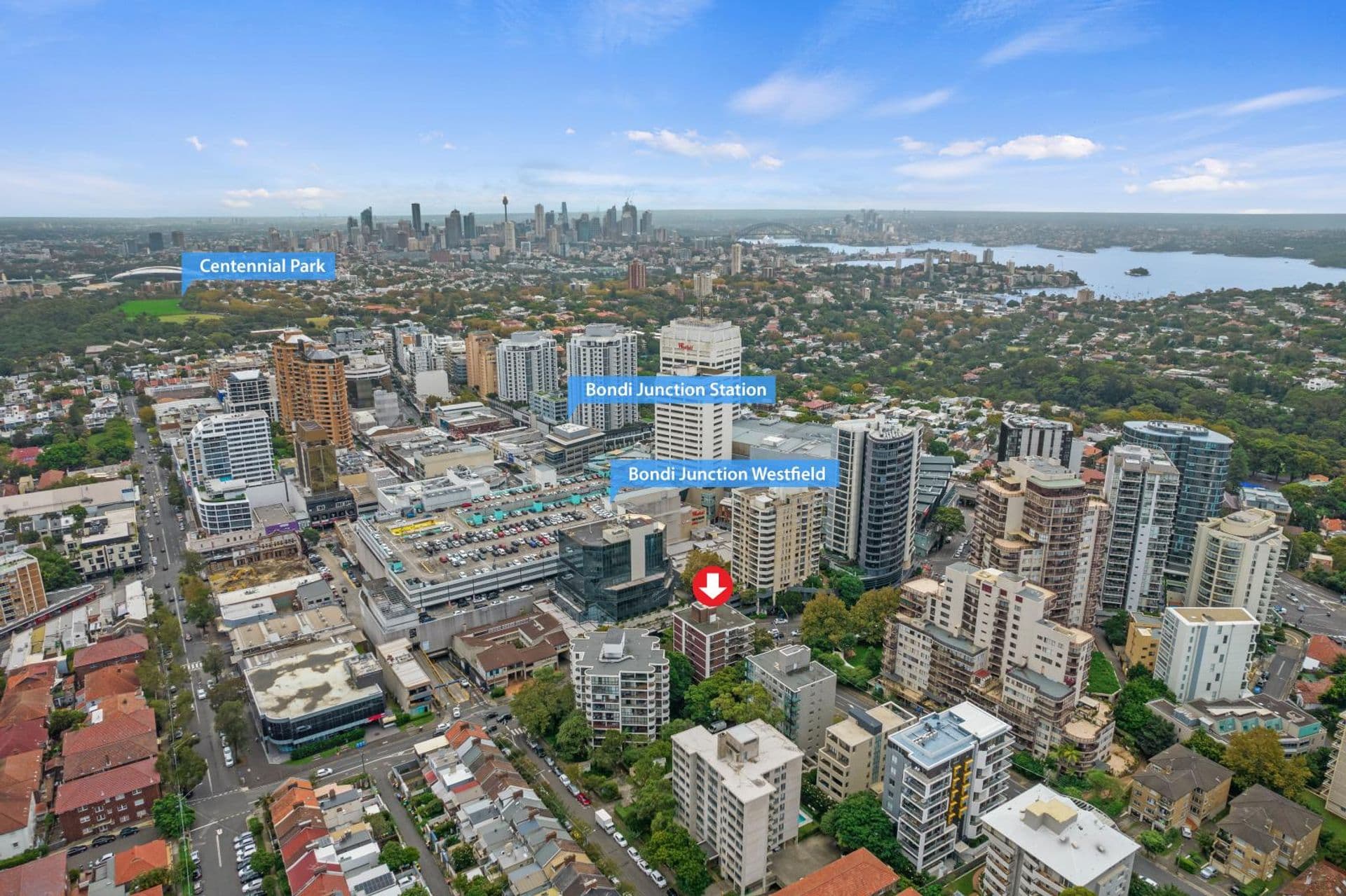 1a/17-19 Waverley Street, Bondi Junction, NSW, 2022, Bondi Junction - Thumbnail 8