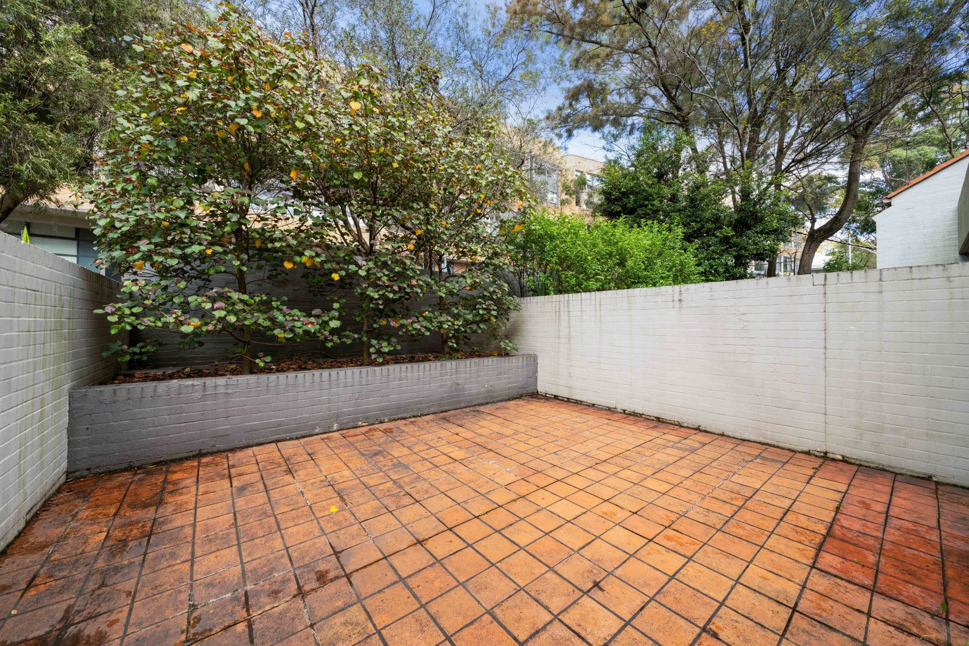 13/400 Glenmore Road, Paddington, NSW, 2021, Paddington - Thumbnail 5