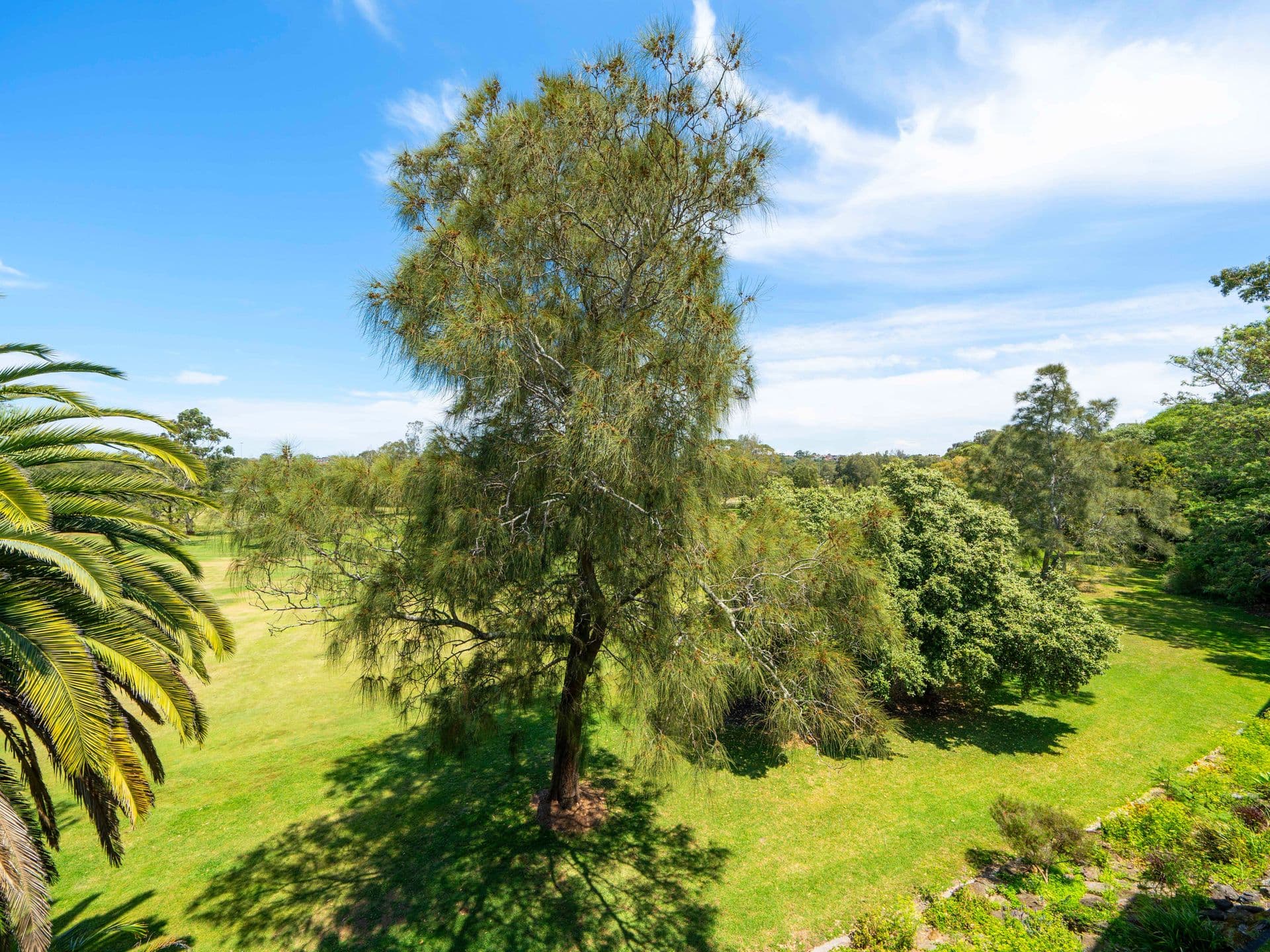 46/22 Ness Avenue, Dulwich Hill, NSW, 2203, Dulwich Hill - Thumbnail 6