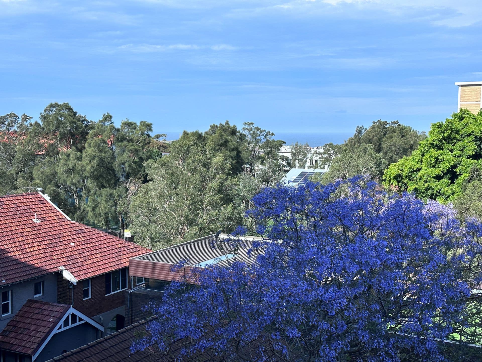 715/212-218 Bondi Road, Bondi, NSW, 2026, Bondi - Thumbnail 2