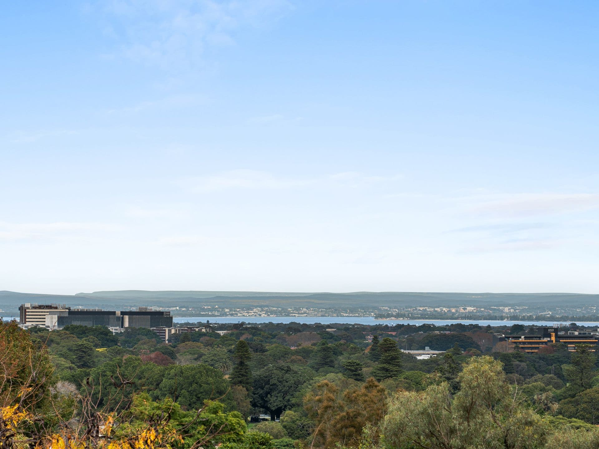 408/29 Newland Street, Bondi Junction, NSW, 2022, Bondi Junction - Thumbnail 4