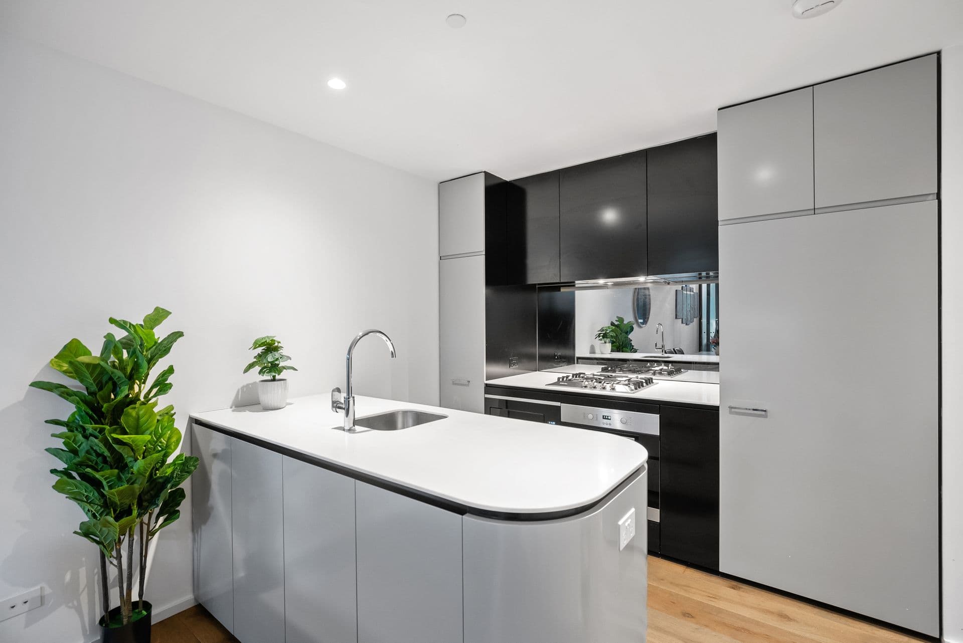 203/241 Oxford Street, Bondi Junction, NSW, 2022, Bondi Junction - Thumbnail 4