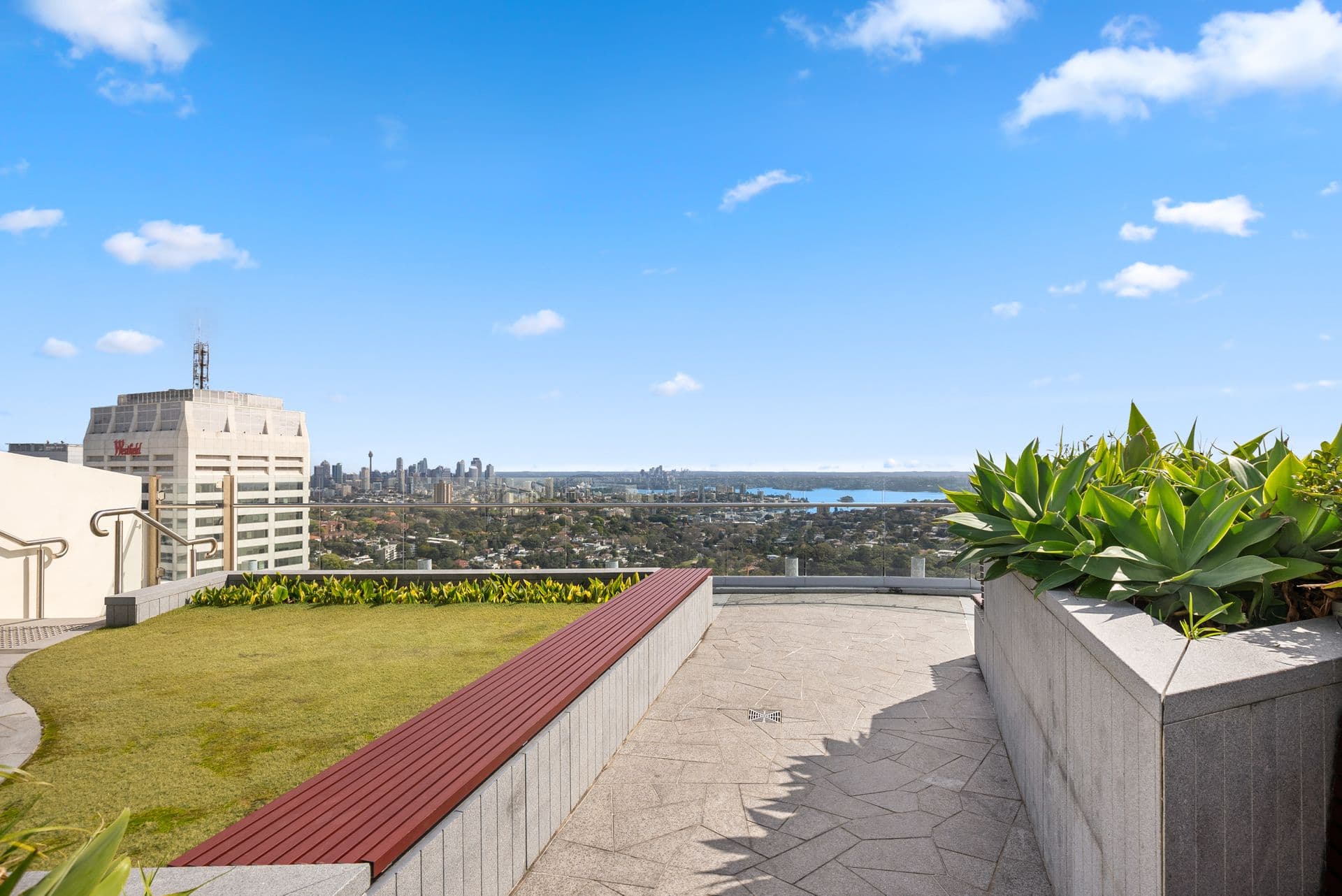 203/241 Oxford Street, Bondi Junction, NSW, 2022, Bondi Junction - Thumbnail 8